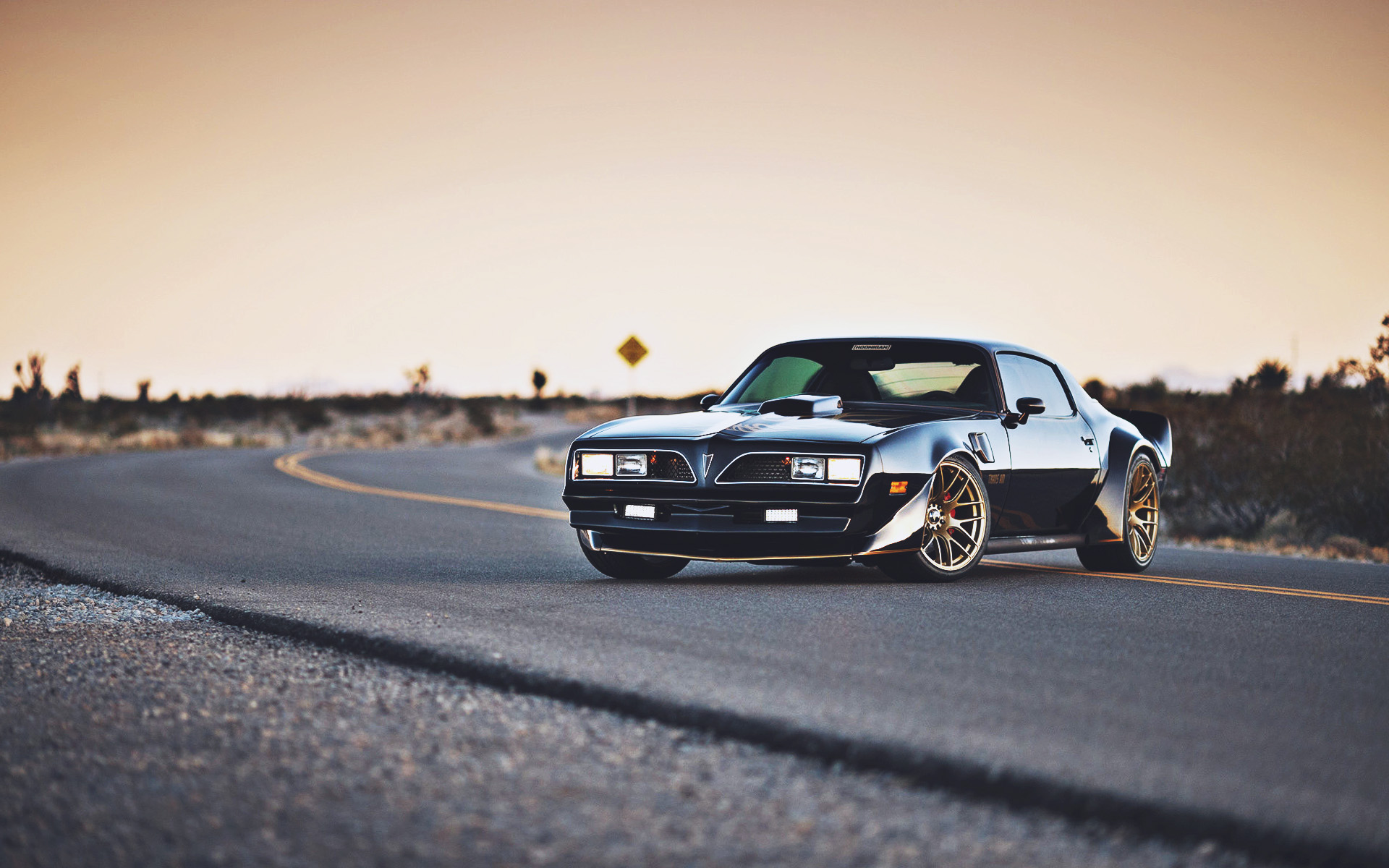 Pontiac Firebird, Muscle Cars, 1969 Cars, Road, Retro - Pontiac Firebird Fondo De Pantalla - HD Wallpaper 
