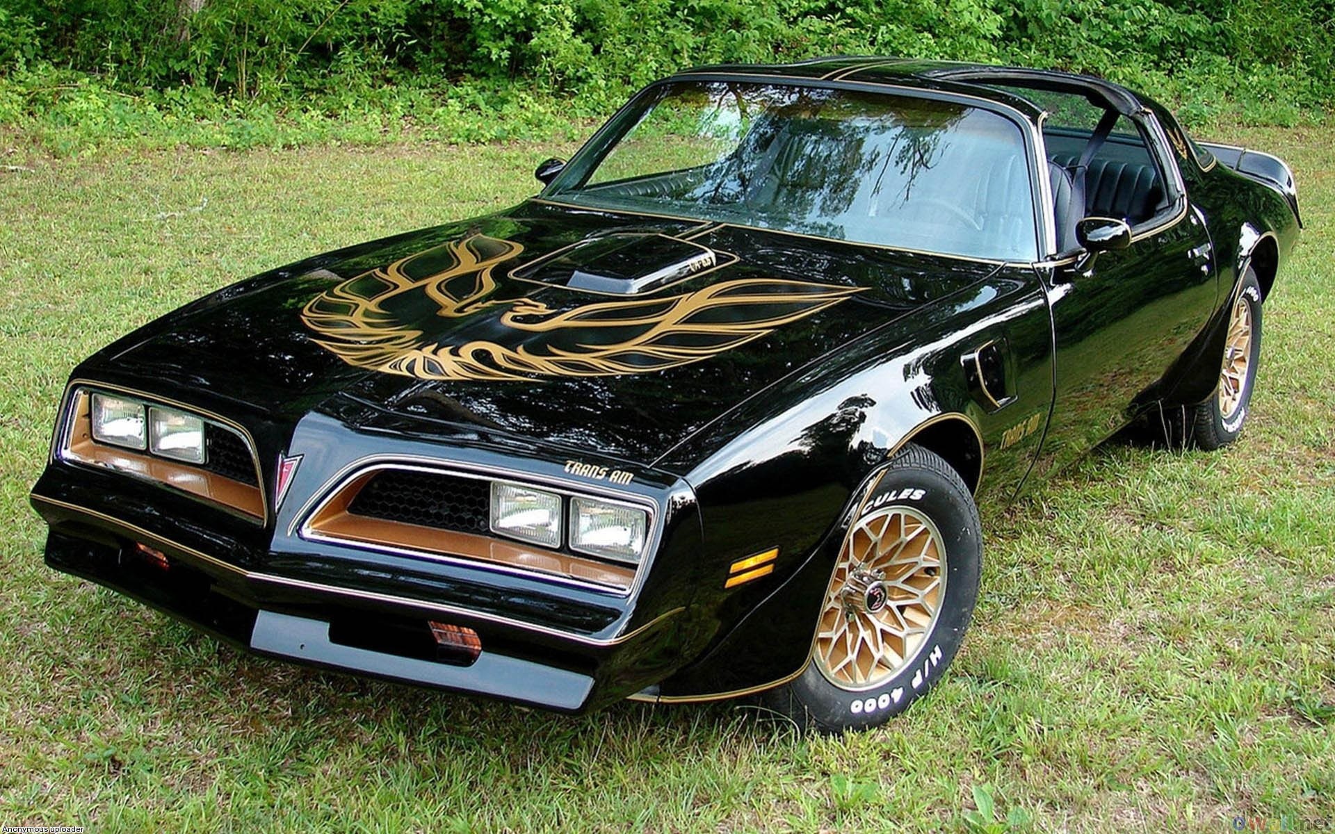 Pontiac Firebird Black Gold - HD Wallpaper 