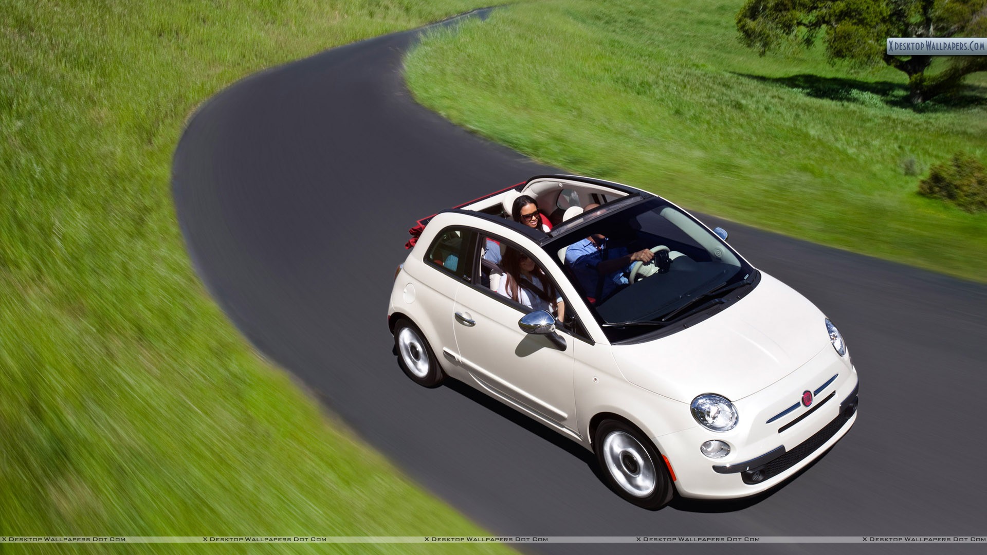 Fiat 500 Mini Cabrio - HD Wallpaper 