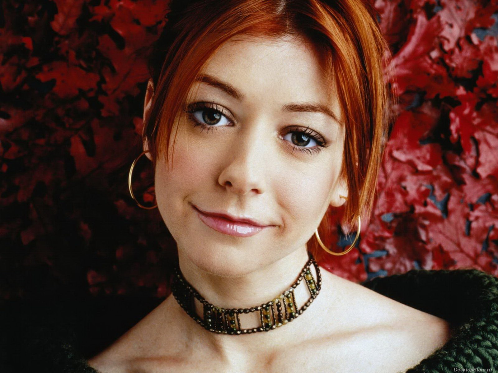 Wallpaper - Alyson Hannigan Hd - HD Wallpaper 