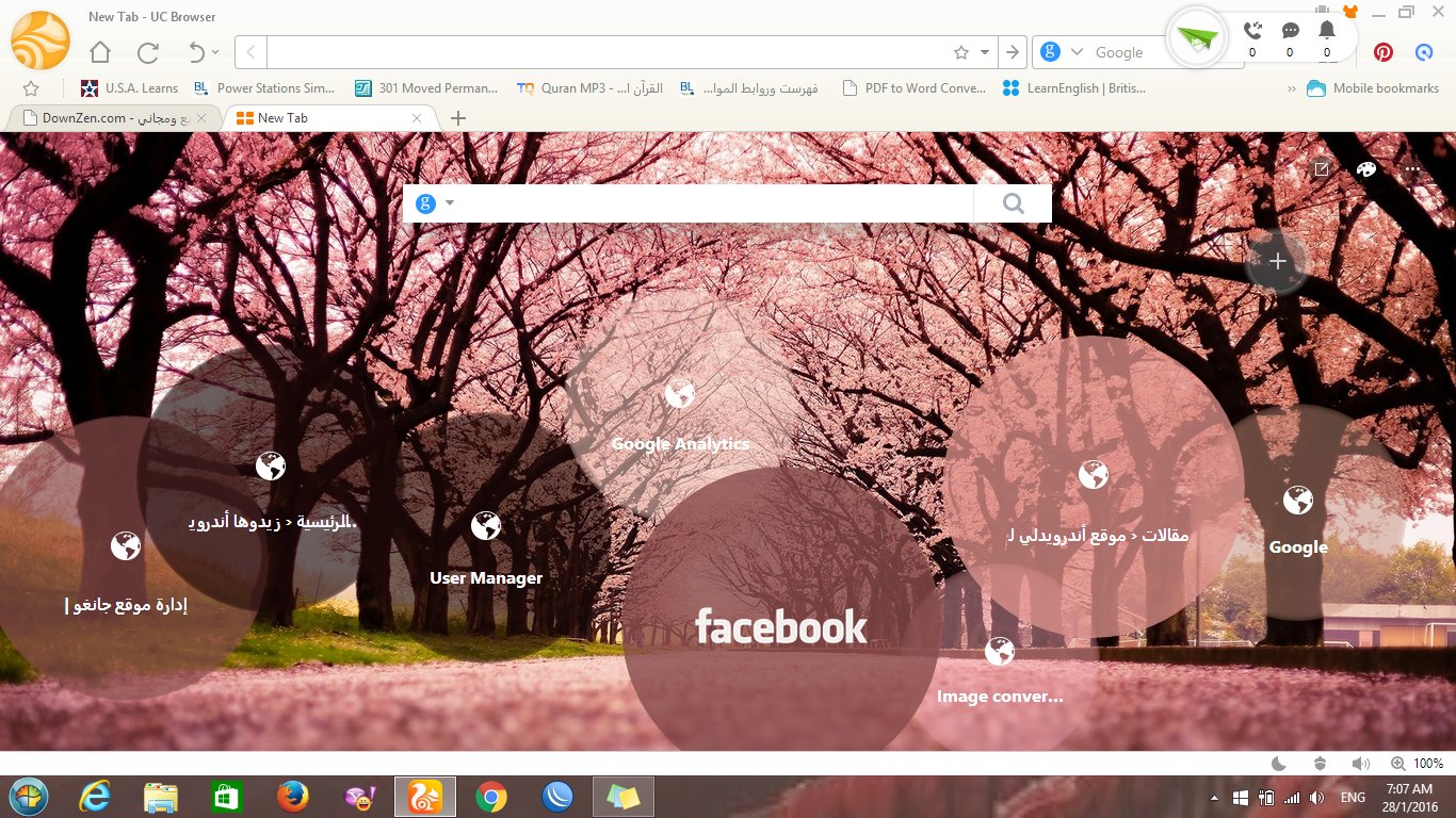 Cherry Blossom Path Background - HD Wallpaper 