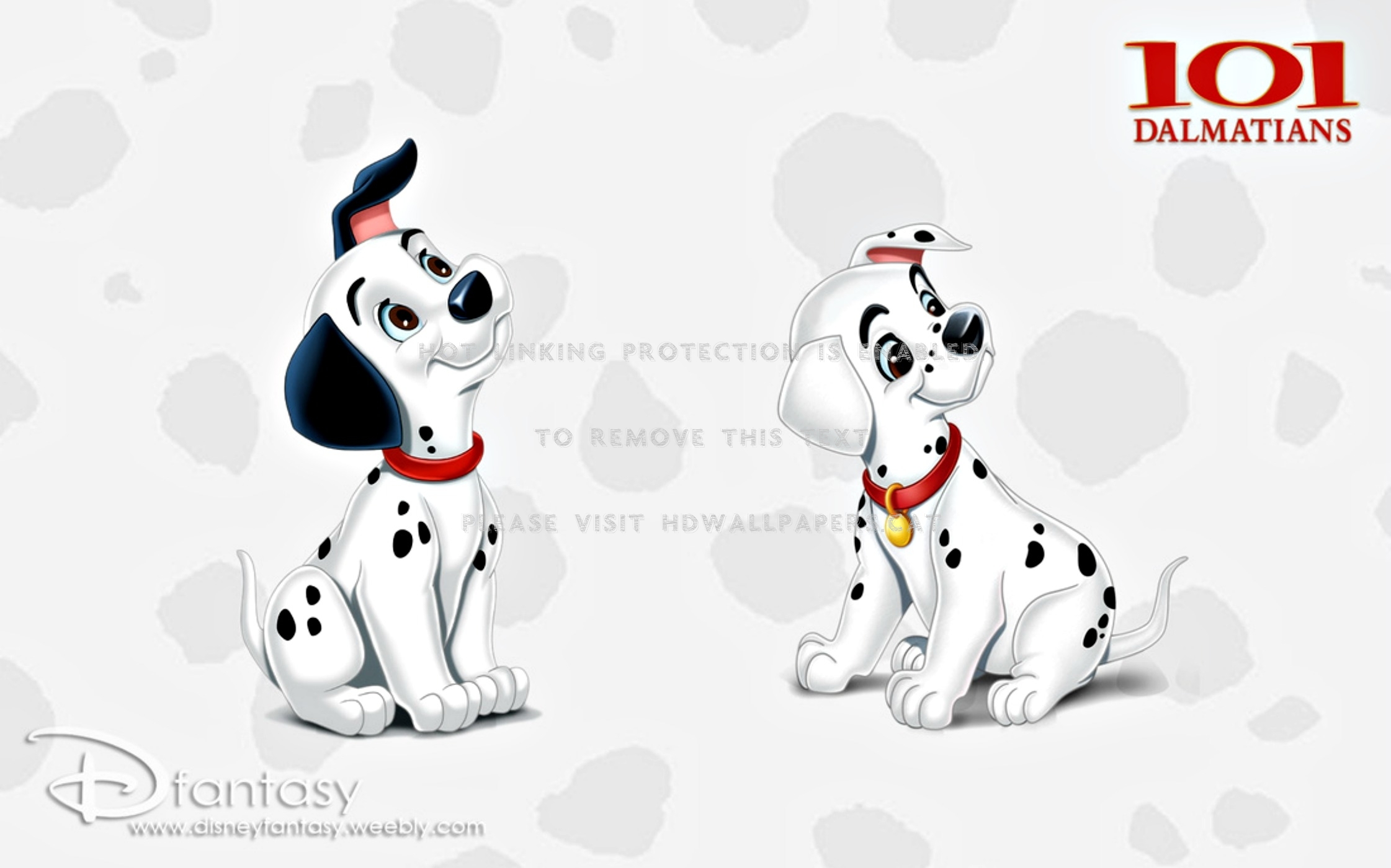 101 Dalmatians White Disney Couple Puppy - Dalmatian - HD Wallpaper 