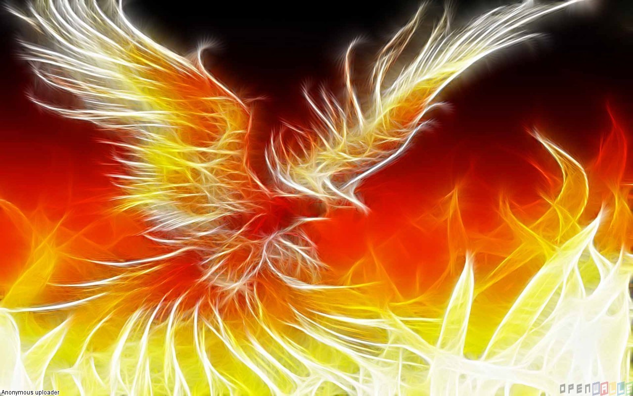 Phoenix Bird - HD Wallpaper 