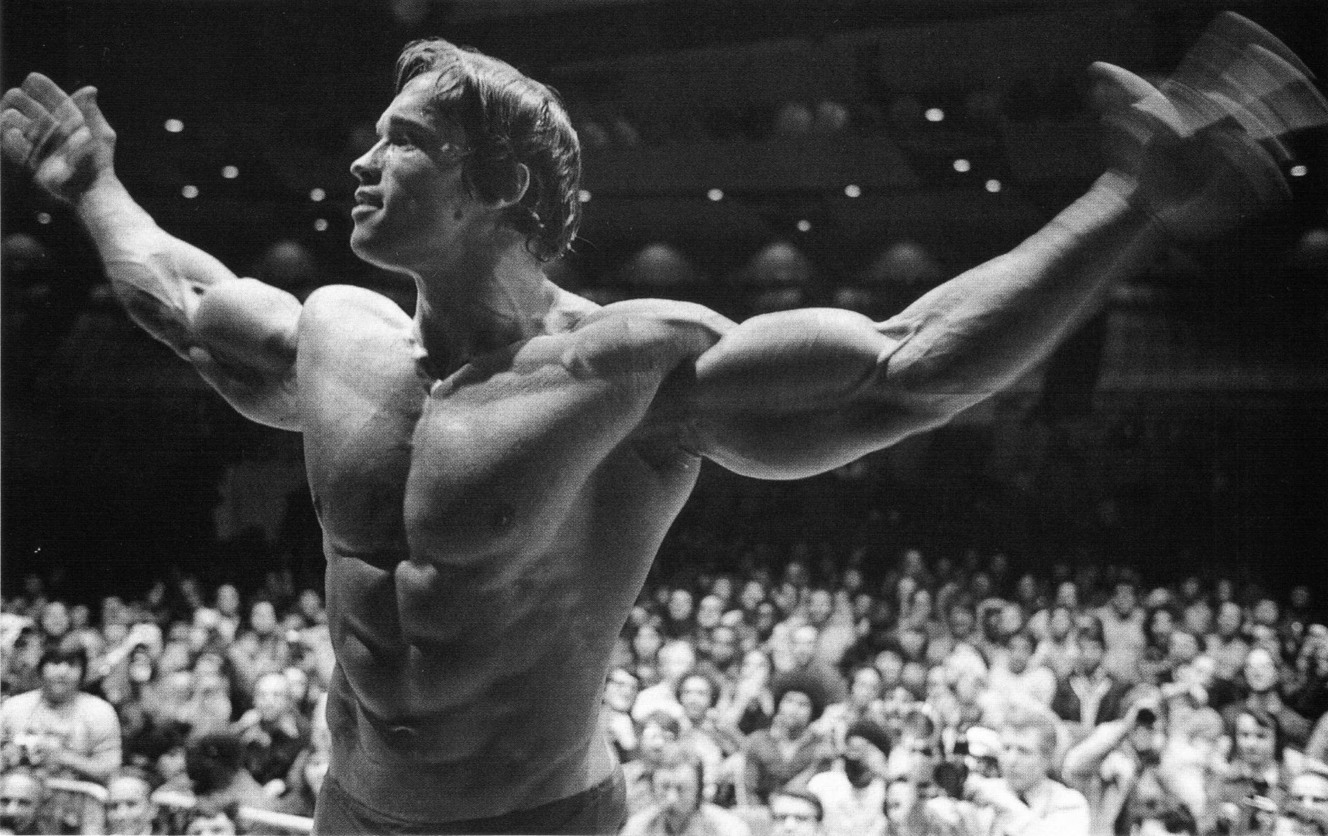 Arnold Schwarzenegger Images, Yzo45 Collection - HD Wallpaper 