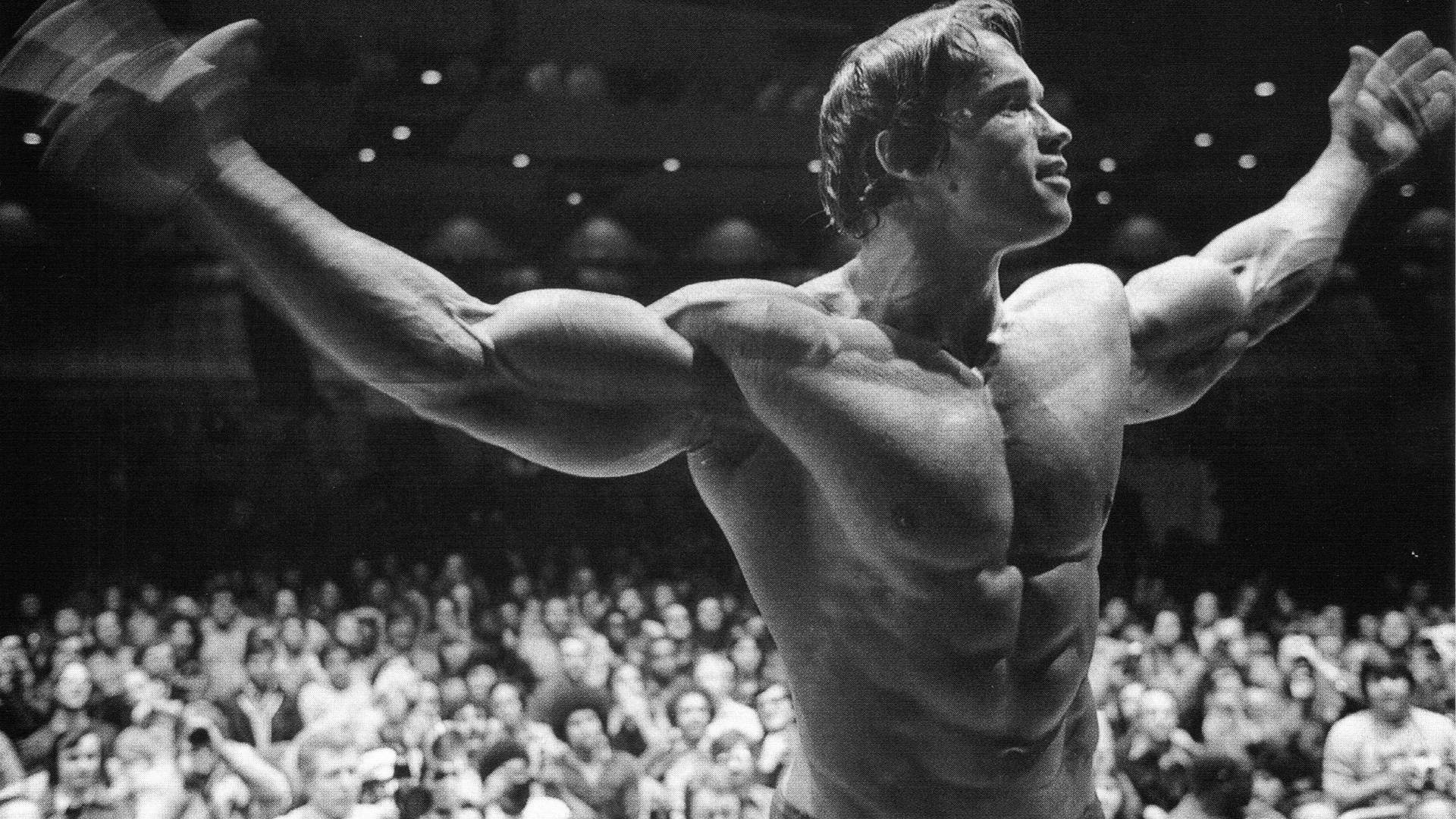 Arnold Schwarzenegger Conquer 4k - HD Wallpaper 