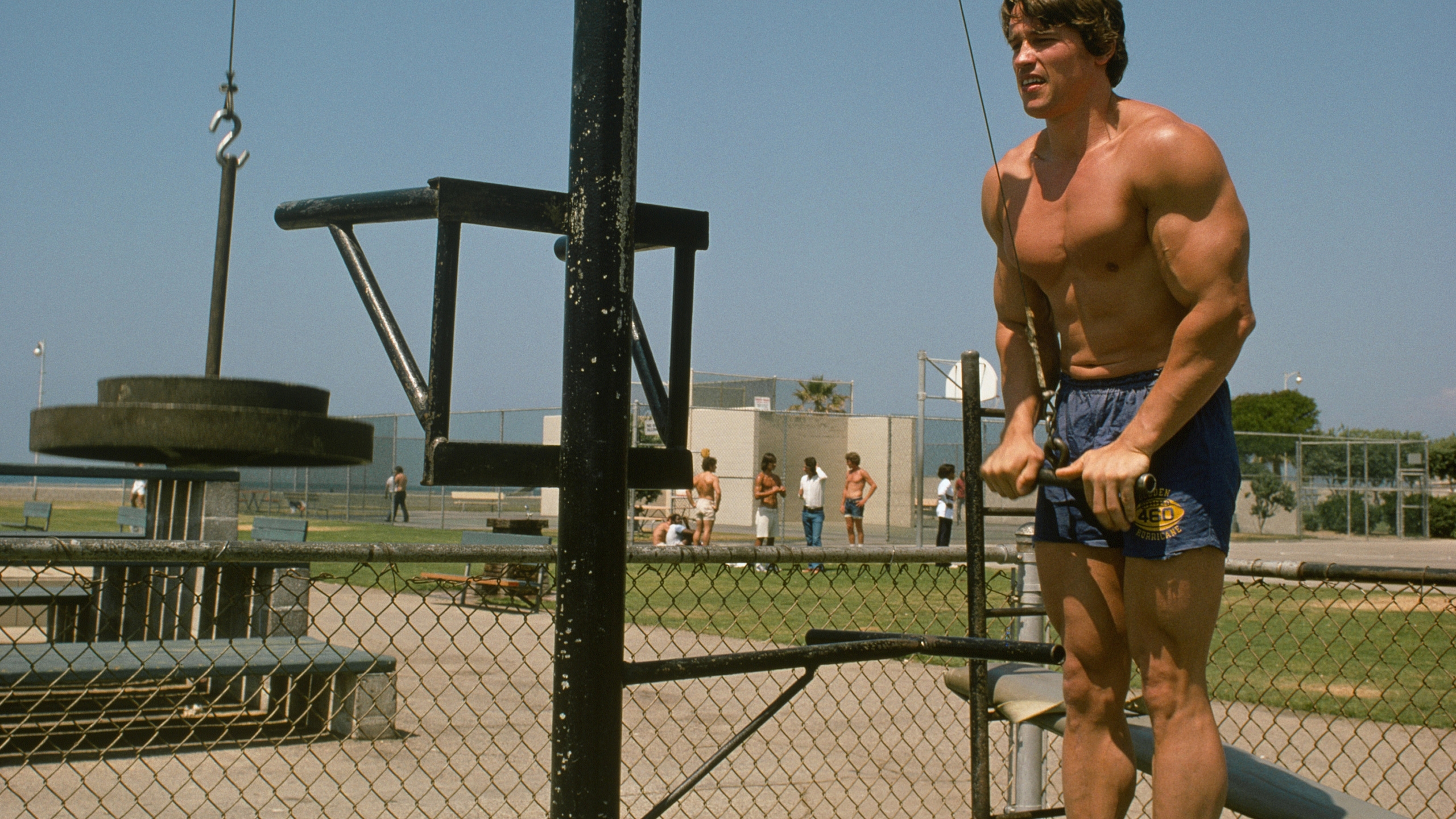 Arnold Bodybuilding Wallpaper - HD Wallpaper 