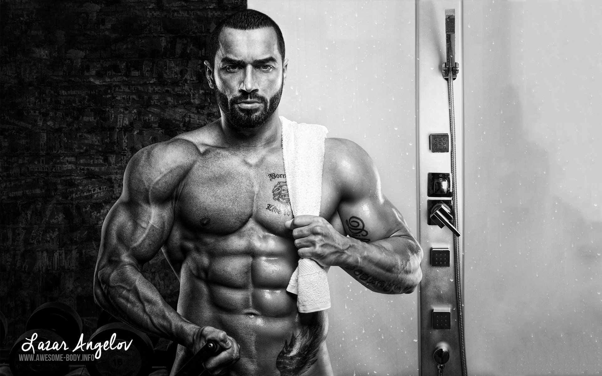 Bodybuilding Wallpaper Hd Pc - HD Wallpaper 