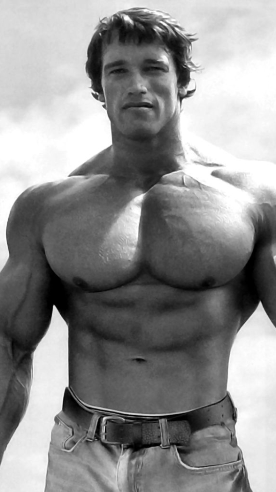 Arnold Schwarzenegger - 540x960 Wallpaper Arnold Schwarzenegger - 540x960 Wallpaper