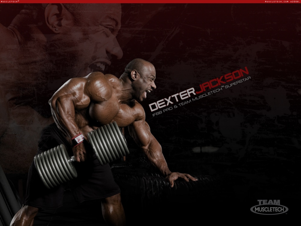 Bodybuilding Quotes Wallpaperdexter Best Of Bodybuilding - One Arm Dumbbell Row - HD Wallpaper 