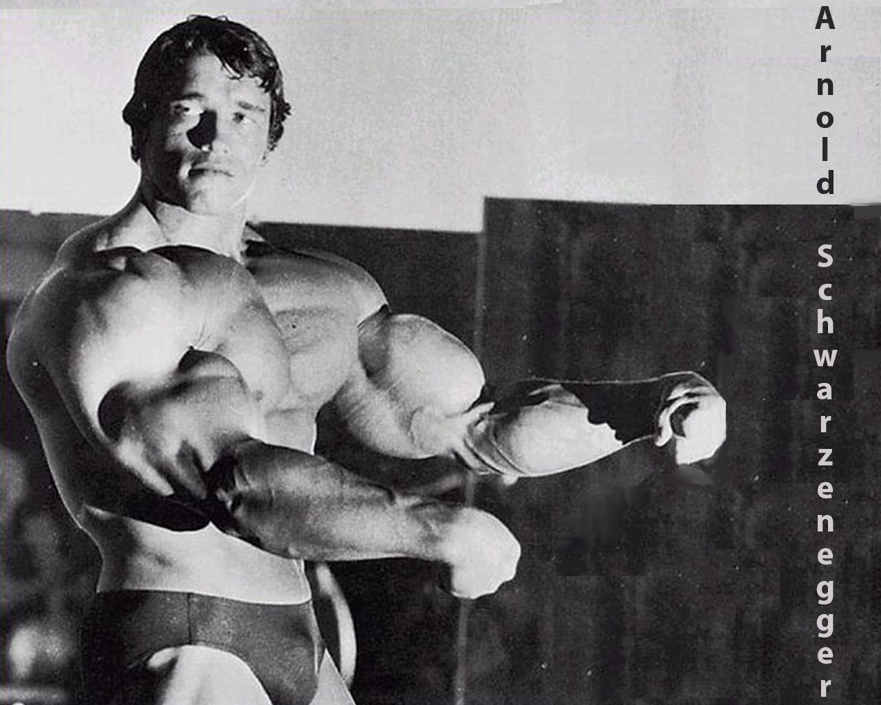 Arnold Pics Pumping Iron - HD Wallpaper 