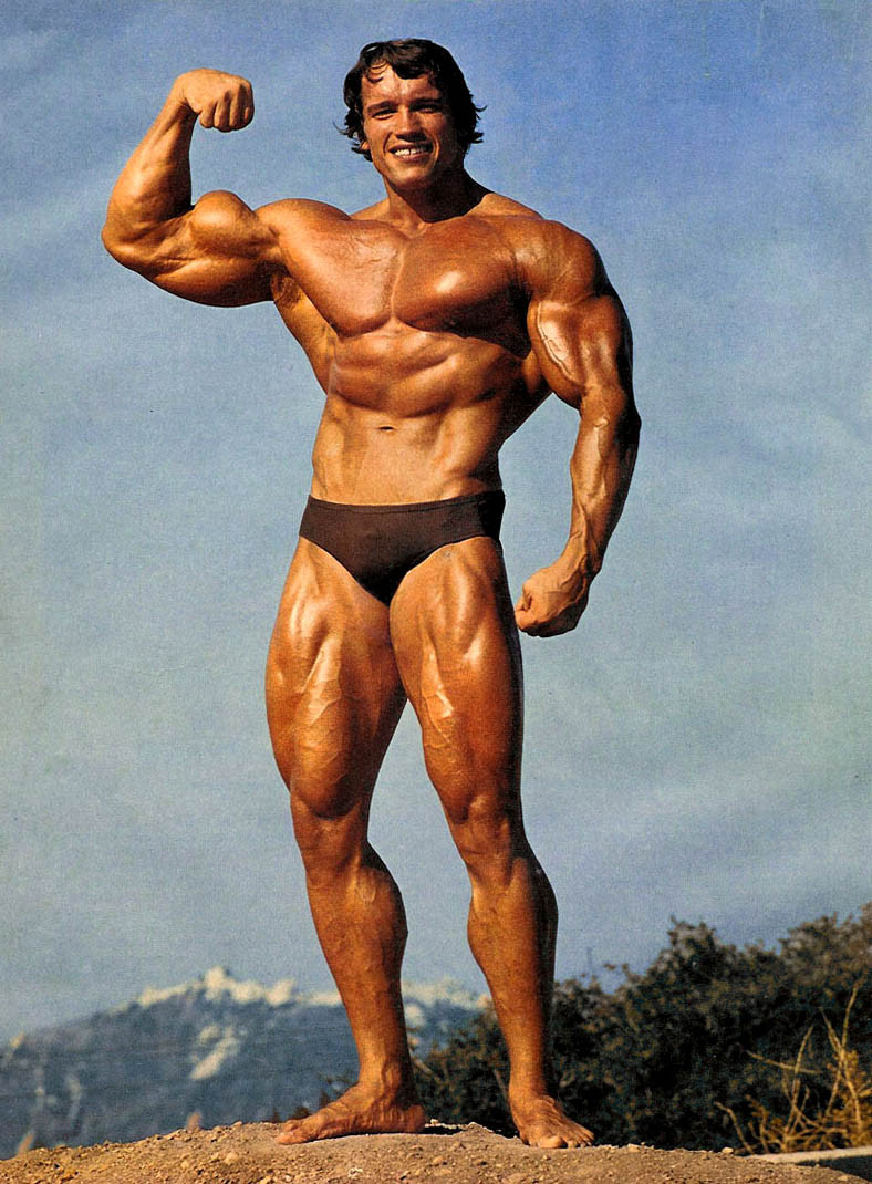 Pic - Arnold Schwarzenegger - HD Wallpaper 