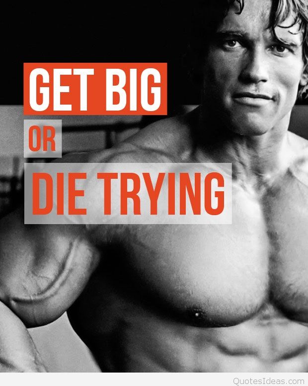 Get Big Or Die Trying - Arnold Schwarzenegger Get Big Or Die Trying - HD Wallpaper 