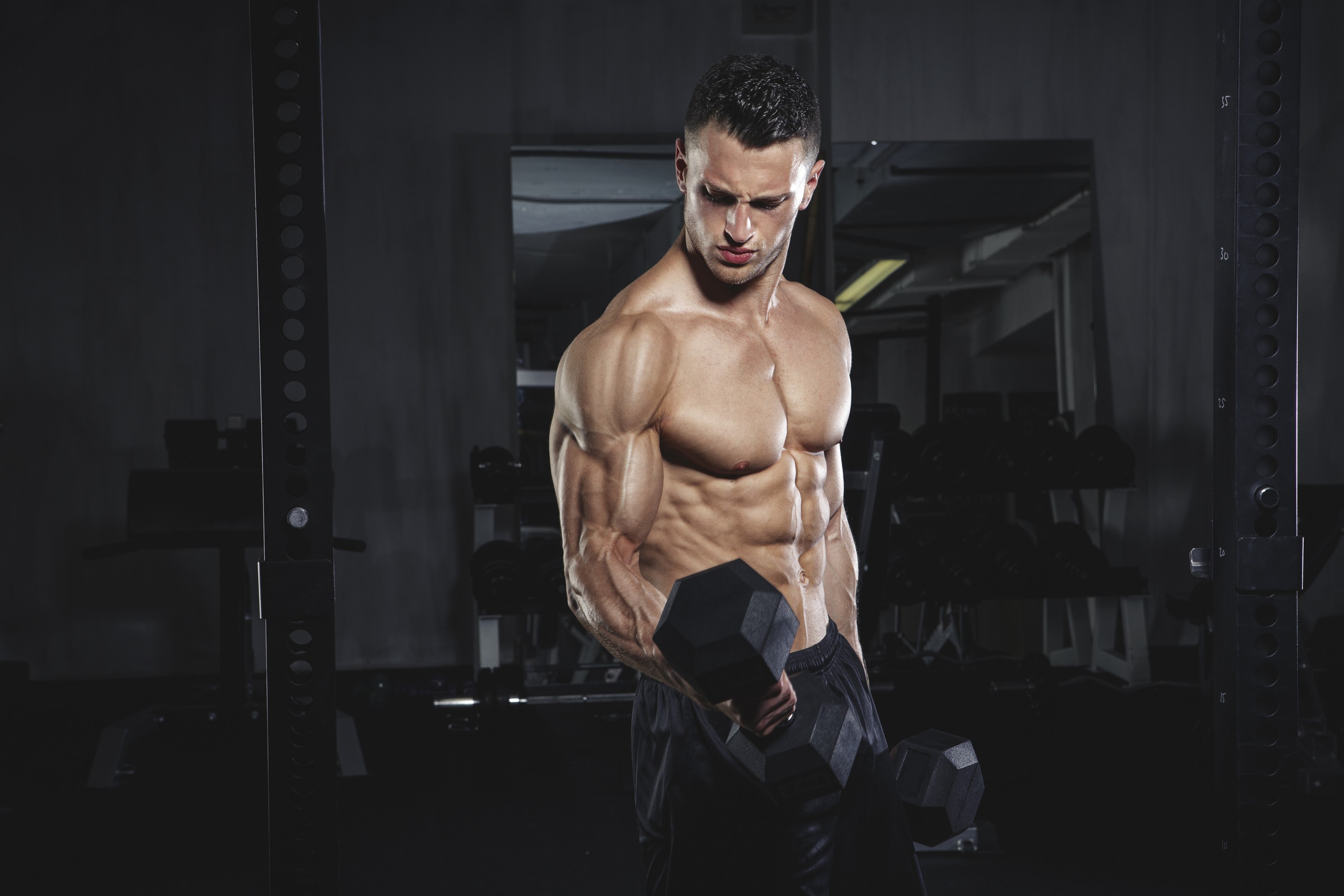 Bodybuilder Wallpaper For Mobile - HD Wallpaper 