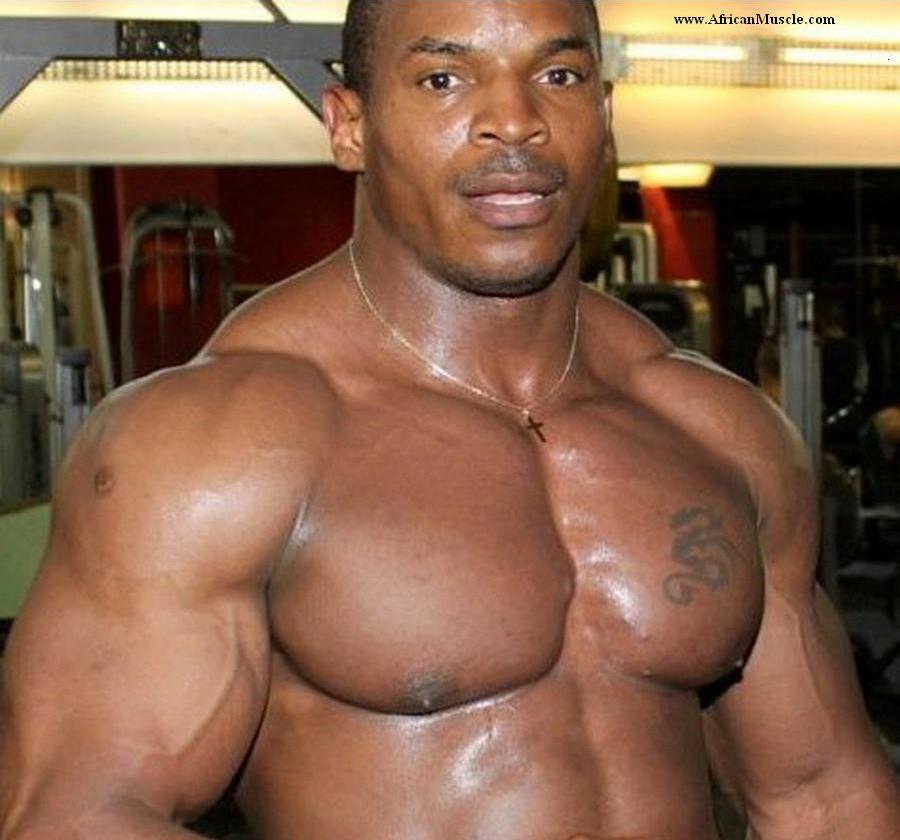 Bodybuilding Wallpapers Hd Free Download - HD Wallpaper 