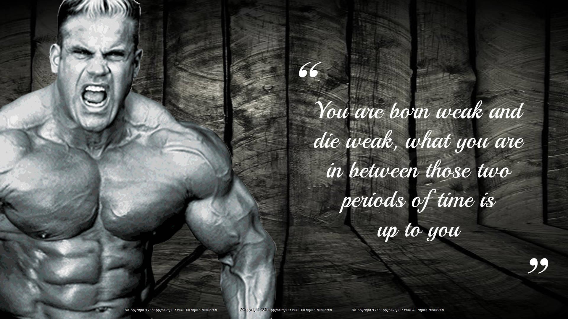 1920x1080, Bodybuilding Gym Workouts Wallpaper - Gym Workout Wallpaper 1080 - HD Wallpaper 