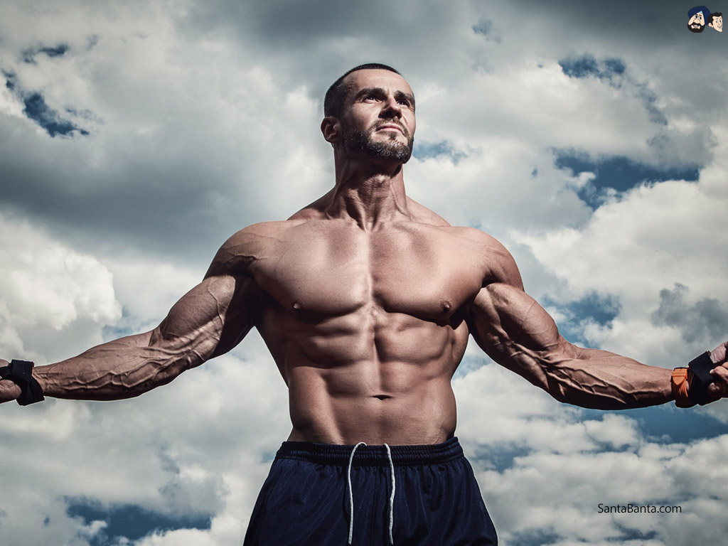 Bodybuilding - Melhores Horários Para Treinar - HD Wallpaper 