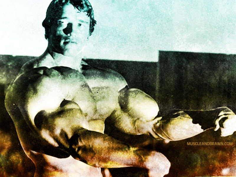 Arnold Schwarenegger Wallpaper - Arnold Pics Pumping Iron - HD Wallpaper 