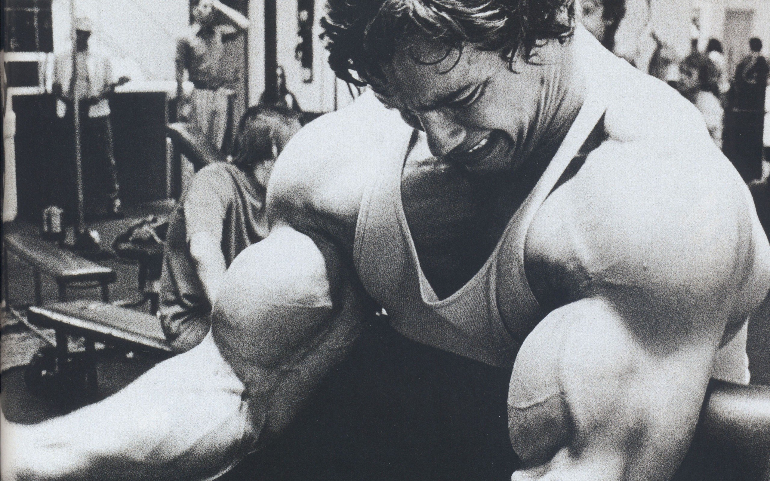 Arnold Schwarzenegger Body - HD Wallpaper 
