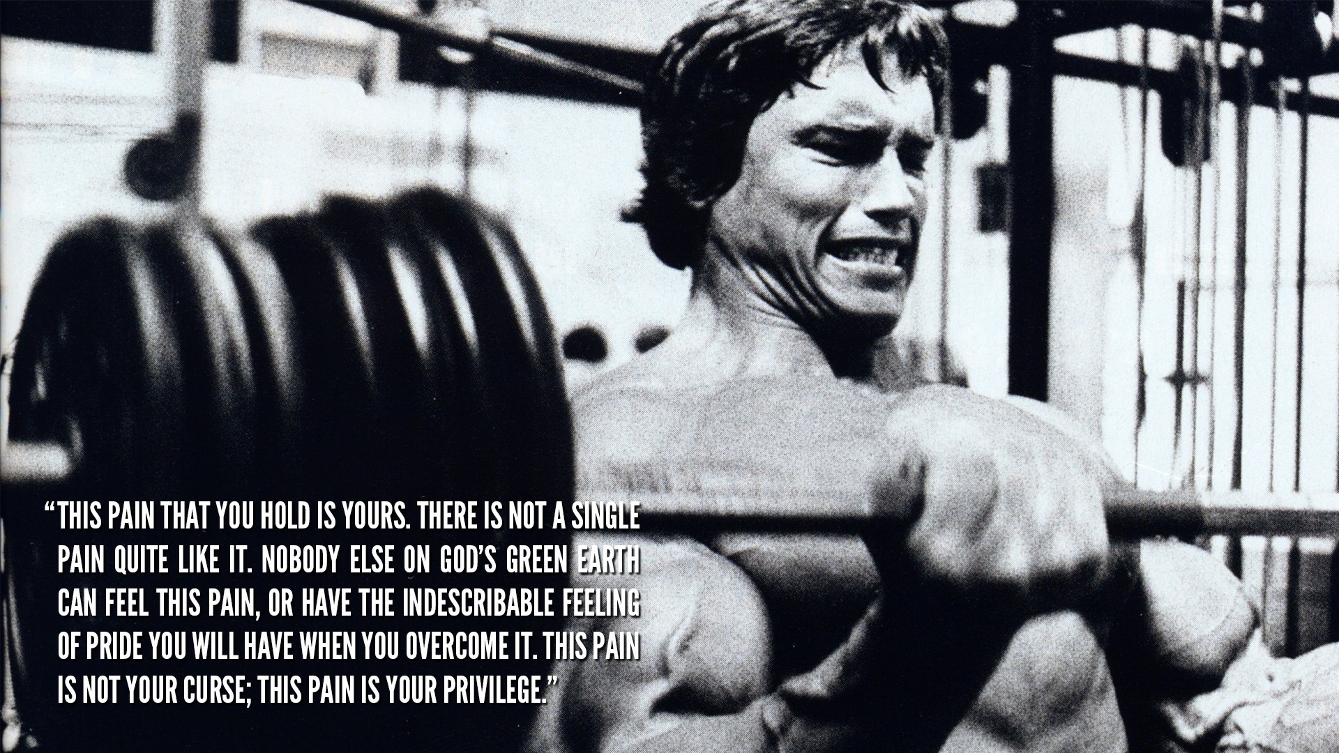 Arnold Schwarzenegger, Motivational, Quote, Bodybuilding, - Arnold Schwarzenegger Motivation - HD Wallpaper 