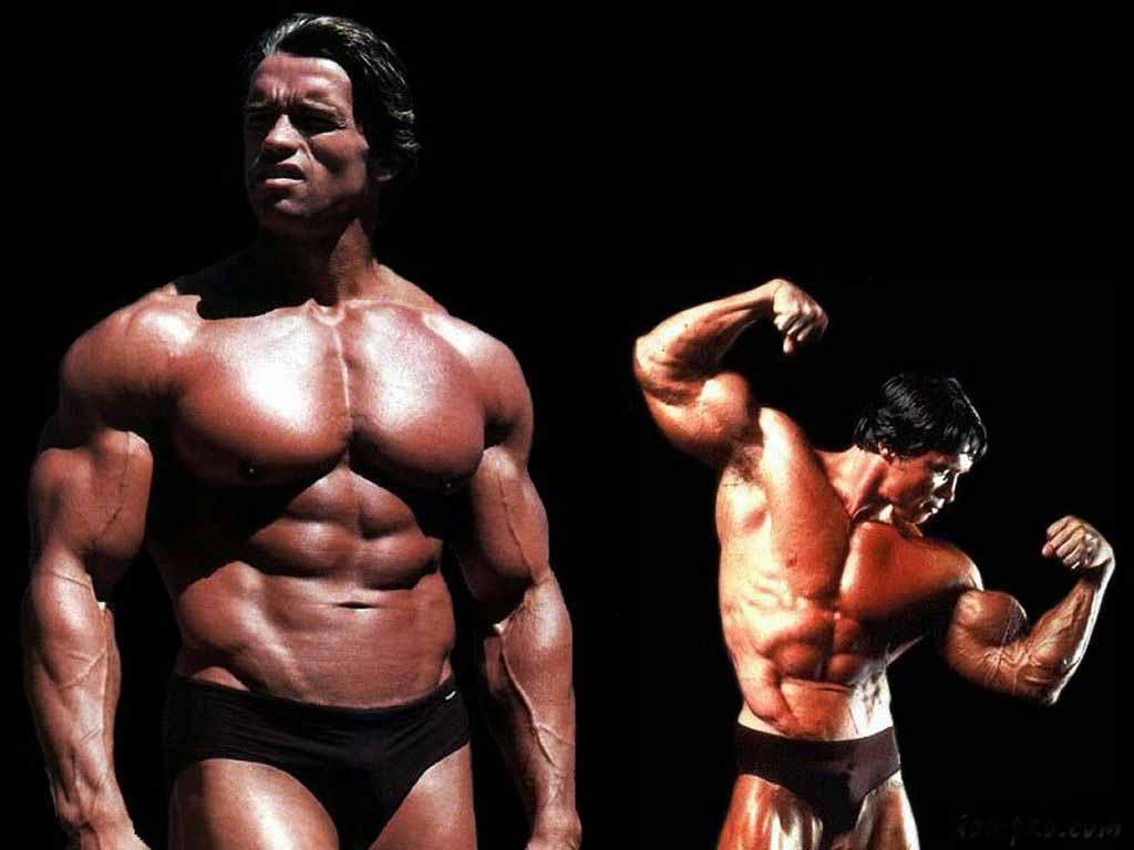 Arnold Schwarzenegger - HD Wallpaper 