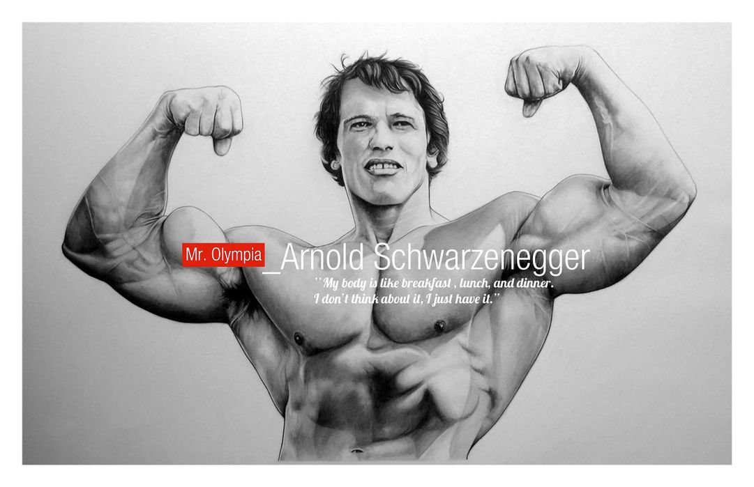 Arnold Schwarzenegger Big Size Flex Poster 36 X 48 - Arnold Schwarzenegger Pencil Drawing - HD Wallpaper 