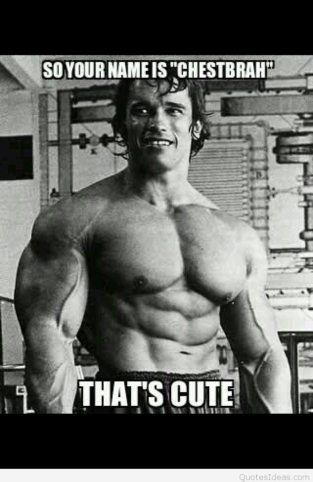 Tumblr Mfiawfgvbr1r0zbopo1 - Schwarzenegger 75 - HD Wallpaper 