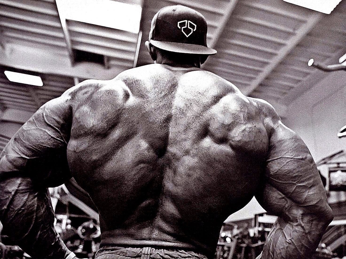 Bodybuilding Hd Wallpaper Bodybuilding Photos Cool - Bodybuilder Back - HD Wallpaper 