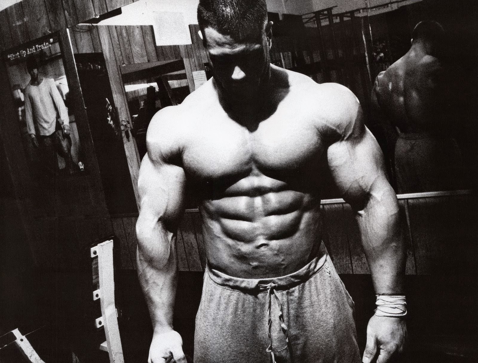 Arnold Schwarzenegger Bodybuilding Wallpaper Hd Download - Frank Mcgrath  Animal - 1600x1217 Wallpaper 