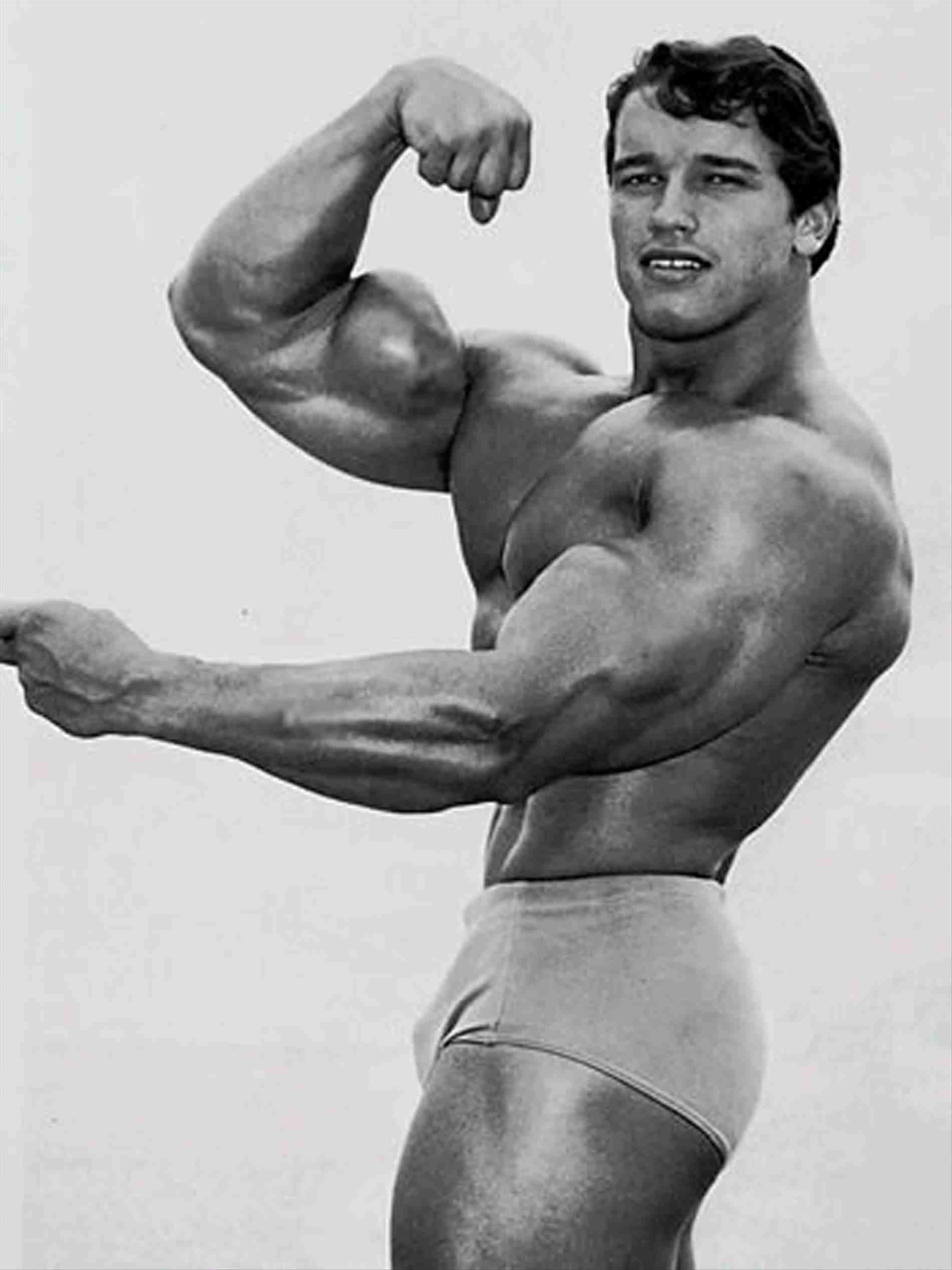 Arnold Schwarzenegger Bodybuilding Wallpaper - Arnold Schwarzenegger Young - HD Wallpaper 