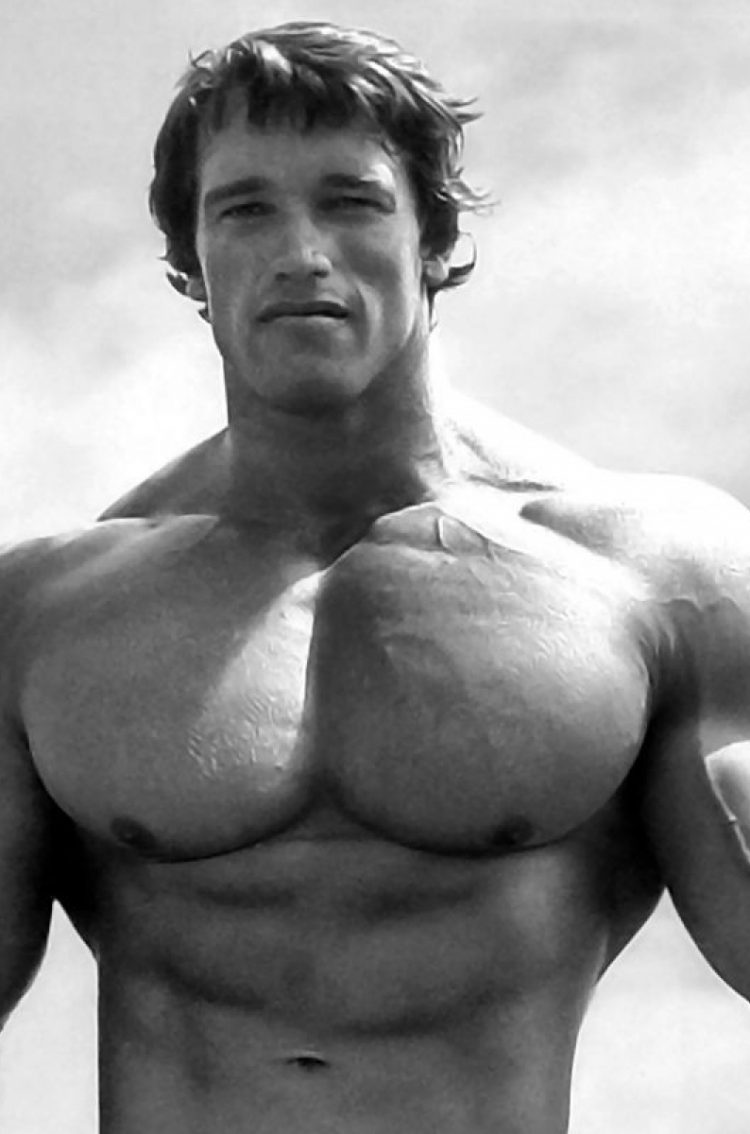 Bodybuilding Wallpaper Arnold Schwarzenegger Hd - HD Wallpaper 