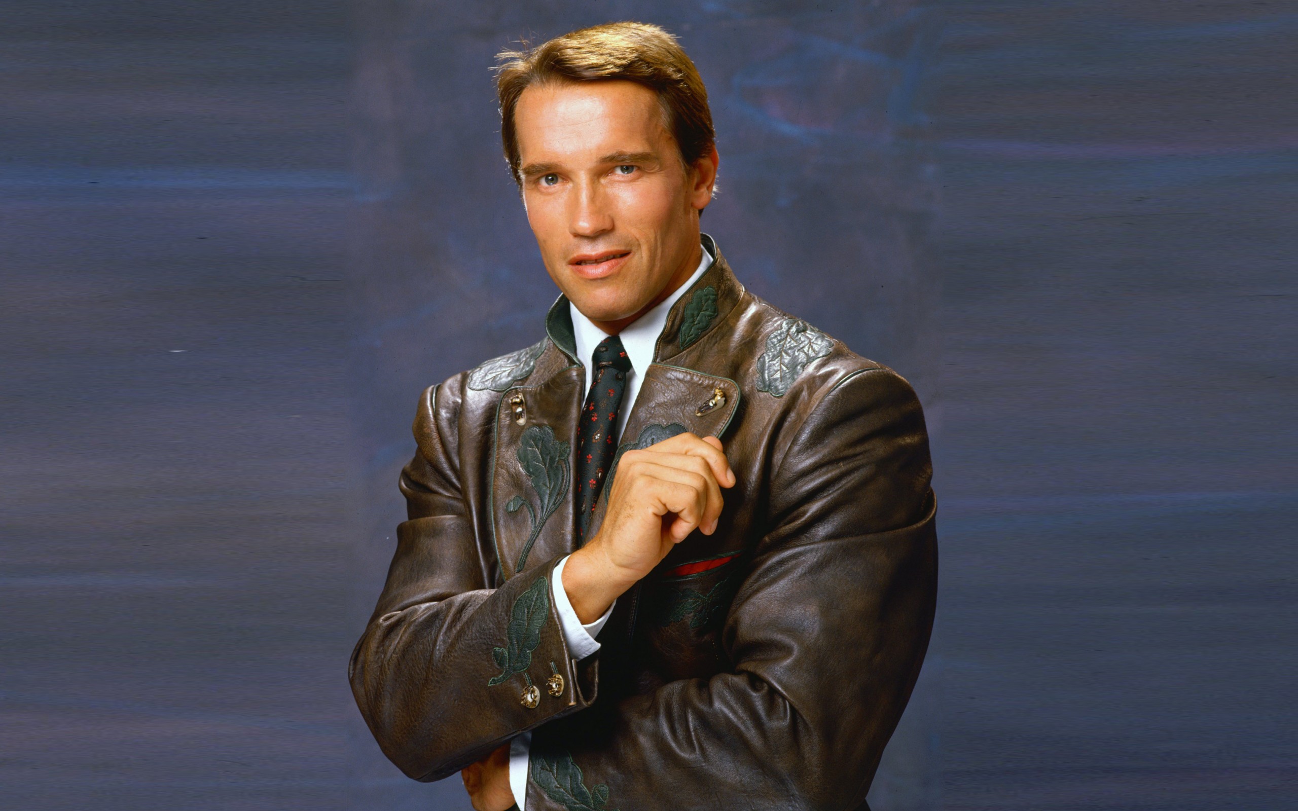 Arnold Schwarzenegger Wallpaper Hd-wallpaper - Arnold Schwarzenegger Actor Gallery - HD Wallpaper 