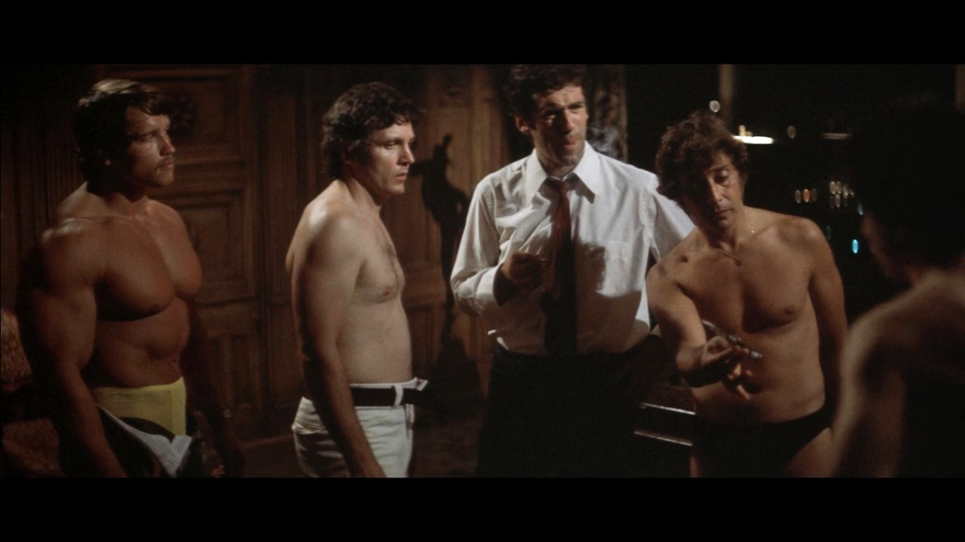 Arnold Schwarzenegger The Long Goodbye - HD Wallpaper 