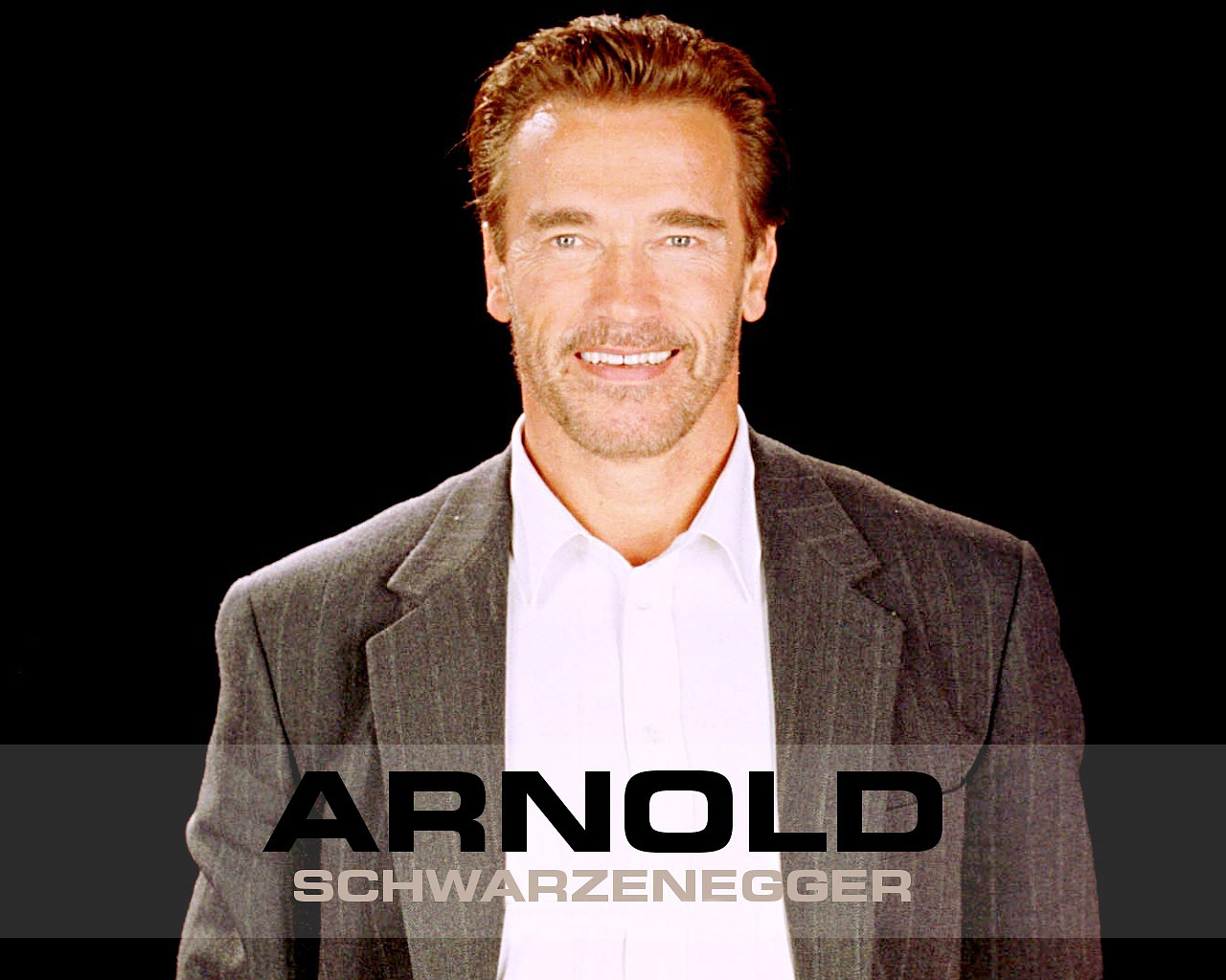 Hd Best Desktop Wallpapers Arnold Schwarzenegger Wallpapers - Arnold Schwarzenegger - HD Wallpaper 