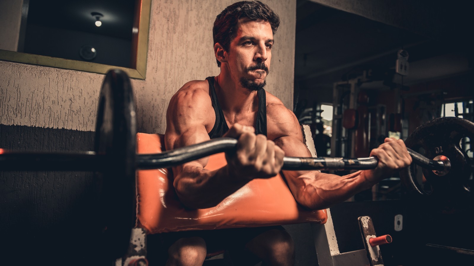Fitness, Man, Gym, Muscles, Biceps, Workout, Model, - Musculação Academia Alta Qualidade - HD Wallpaper 