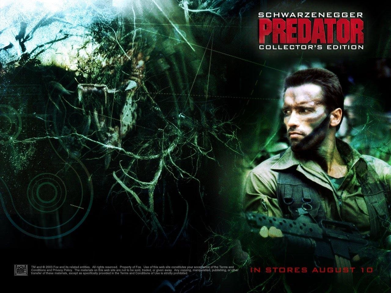 Posterhouzz Movie Predator Arnold Schwarzenegger Hd - Predator 1 Movie Poster - HD Wallpaper 