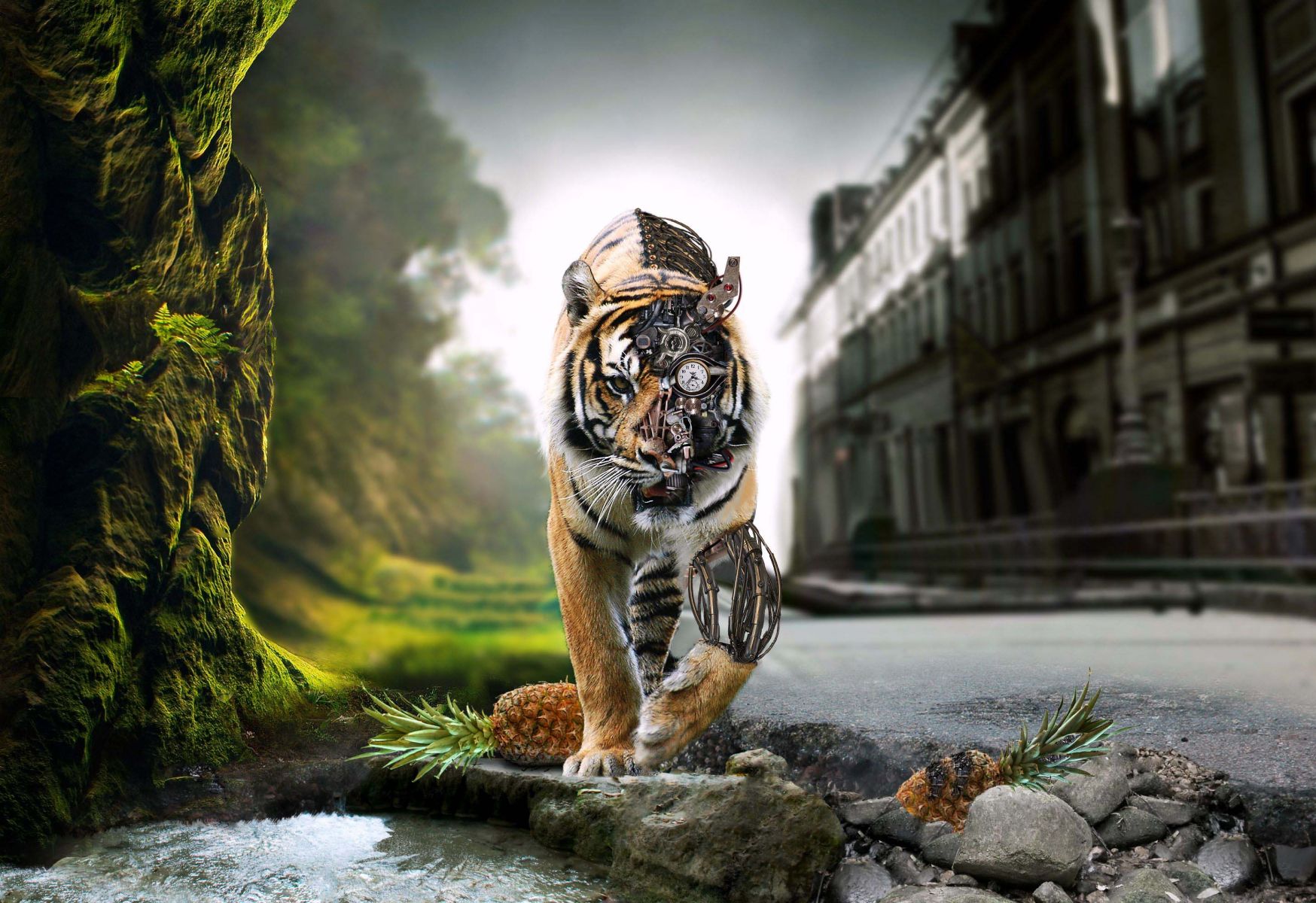 Tiger Terminator Wallpaper - Adršpach-teplice Rocks - HD Wallpaper 