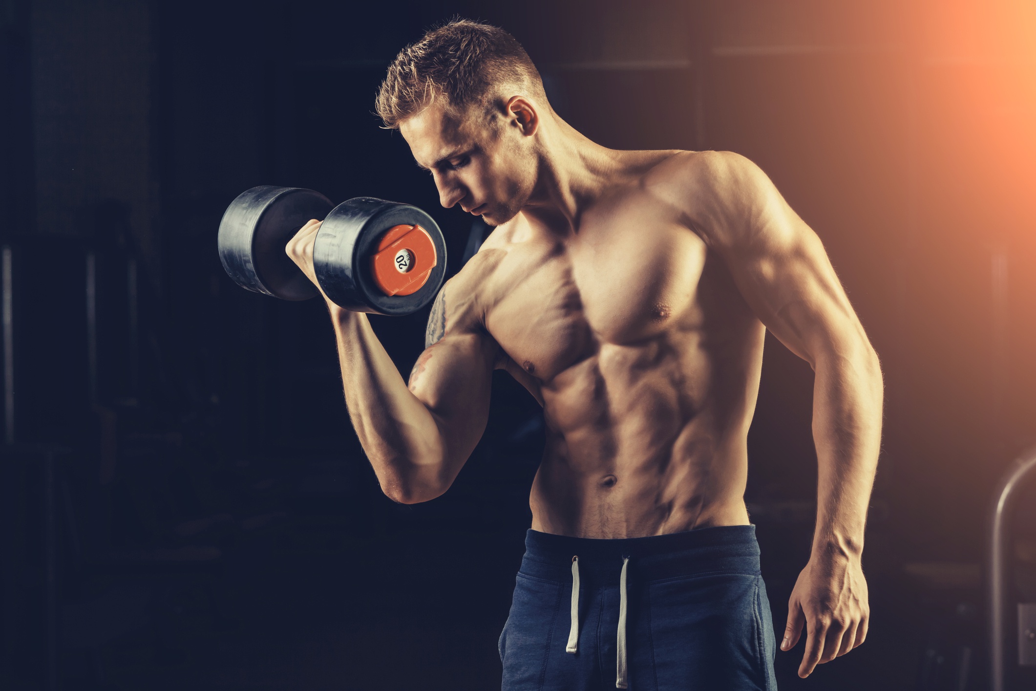 Wallpaper Of Bodybuilding, Man, Muscle, Weightlifting - Fitness Is My Passion Meme - 2121x1414 Wallpaper Wallpaper Of Bodybuilding, Man, Muscle, Weightlifting - Fitness Is My Passion Meme - 2121x1414 Wallpaper