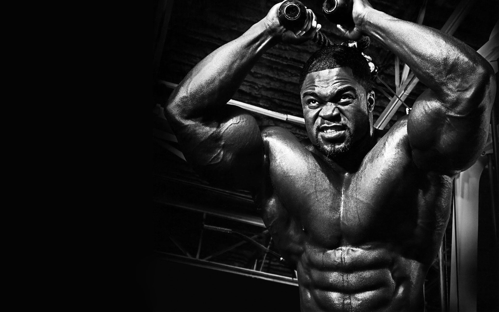 Bodybuilder Hd Wallpaper - HD Wallpaper 