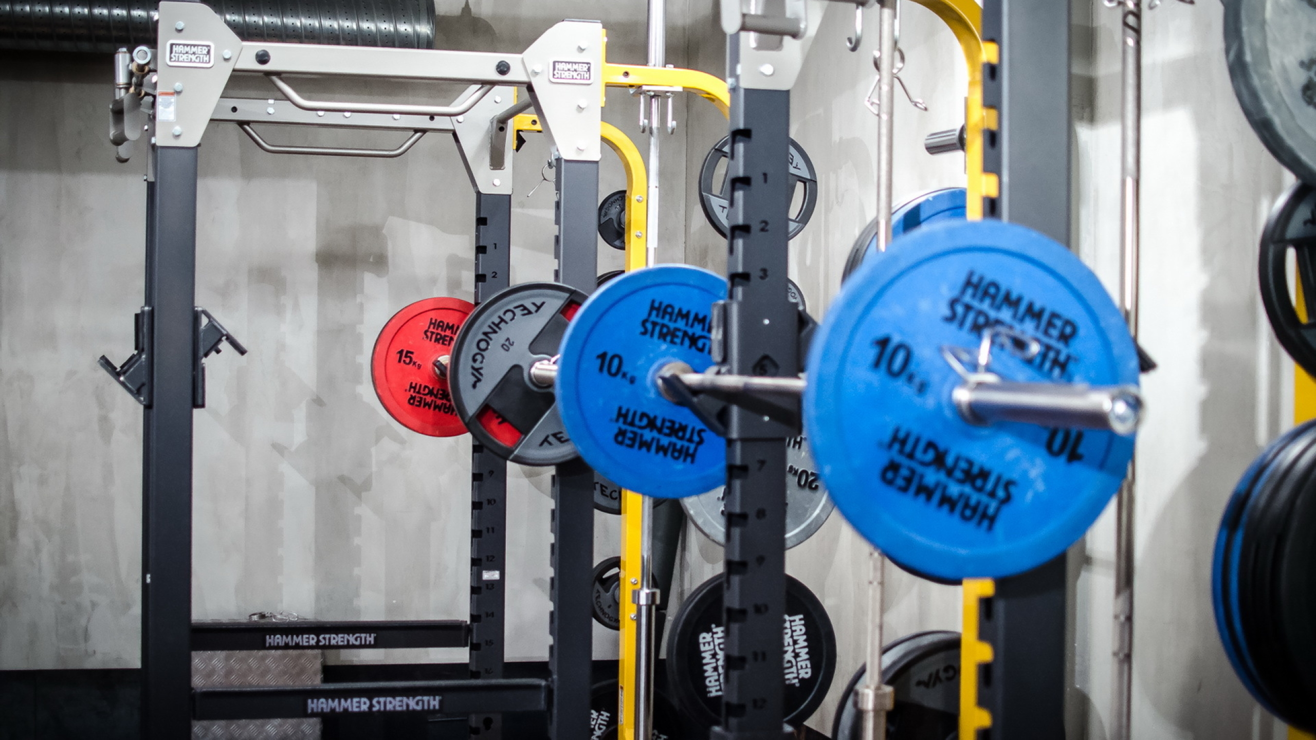 Squat Wallpaper - 2560x1440 Wallpaper - teahub.io