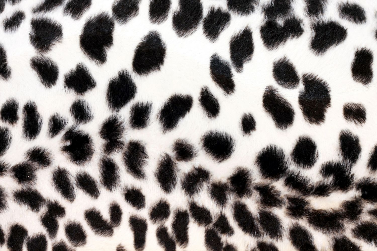 Black And White Zebra Print Wallpaper - Cool Animal Print - 1500x1000 Wallpaper Black And White Zebra Print Wallpaper - Cool Animal Print - 1500x1000 Wallpaper