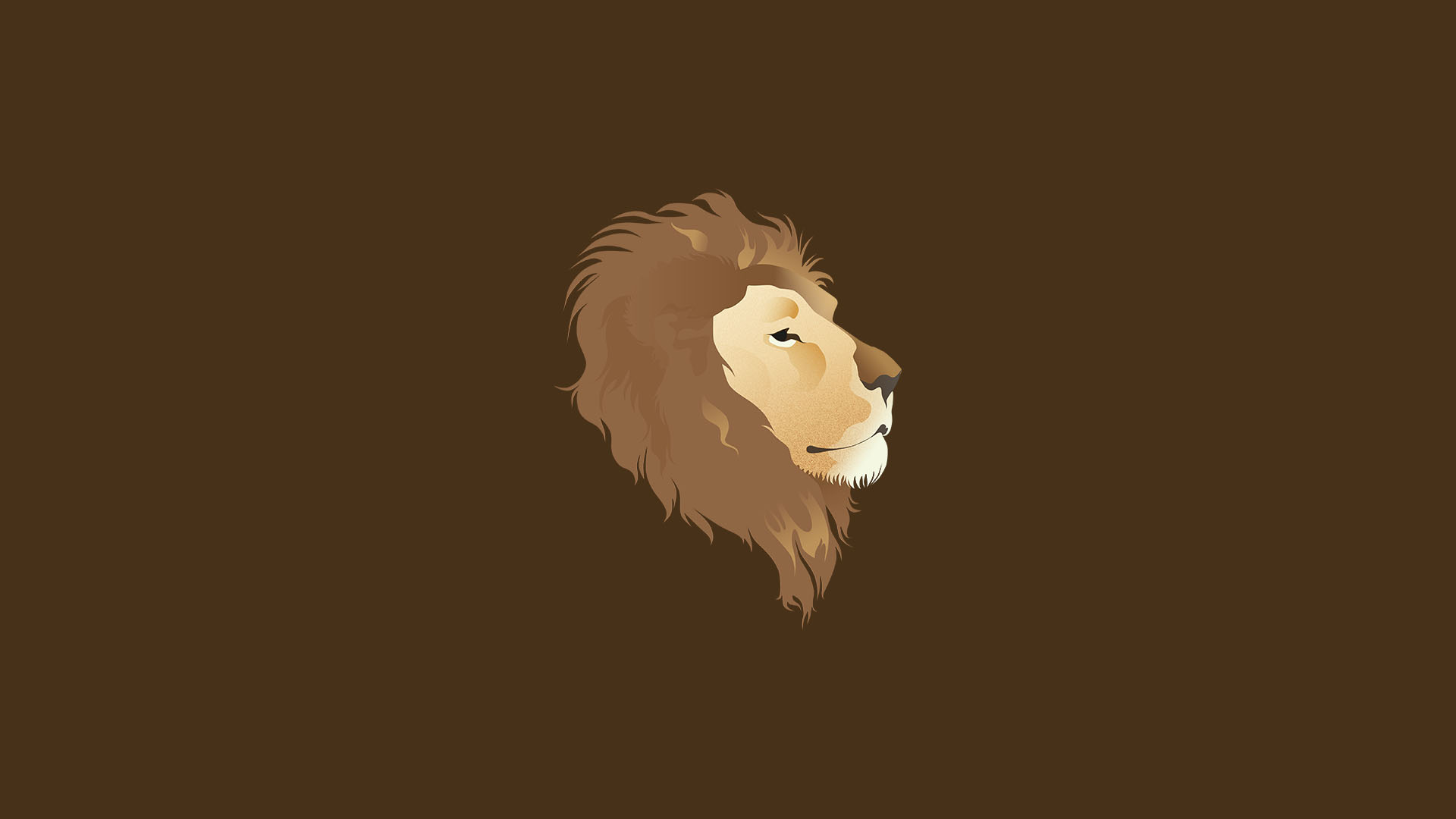 Masai Lion - HD Wallpaper 