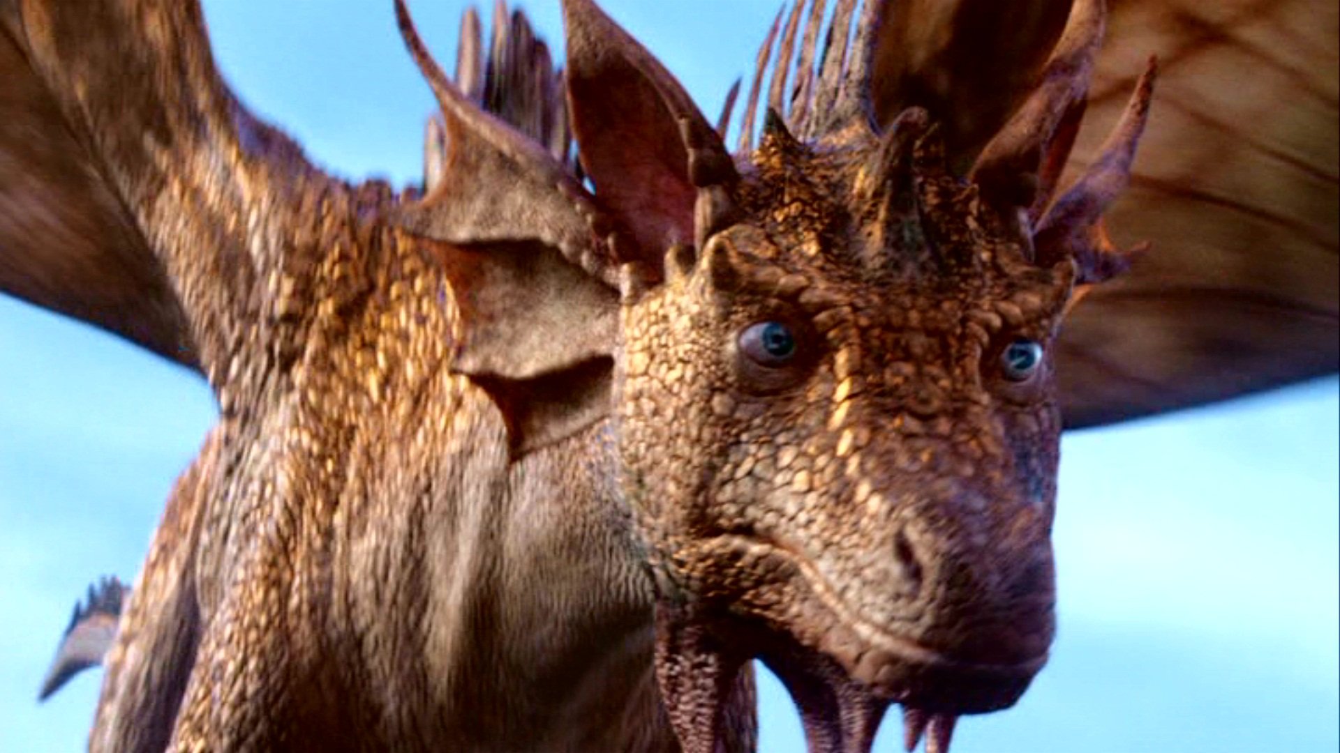 Best The Chronicles Of Narnia Wallpaper Id - Narnia Eustace Dragon - HD Wallpaper 