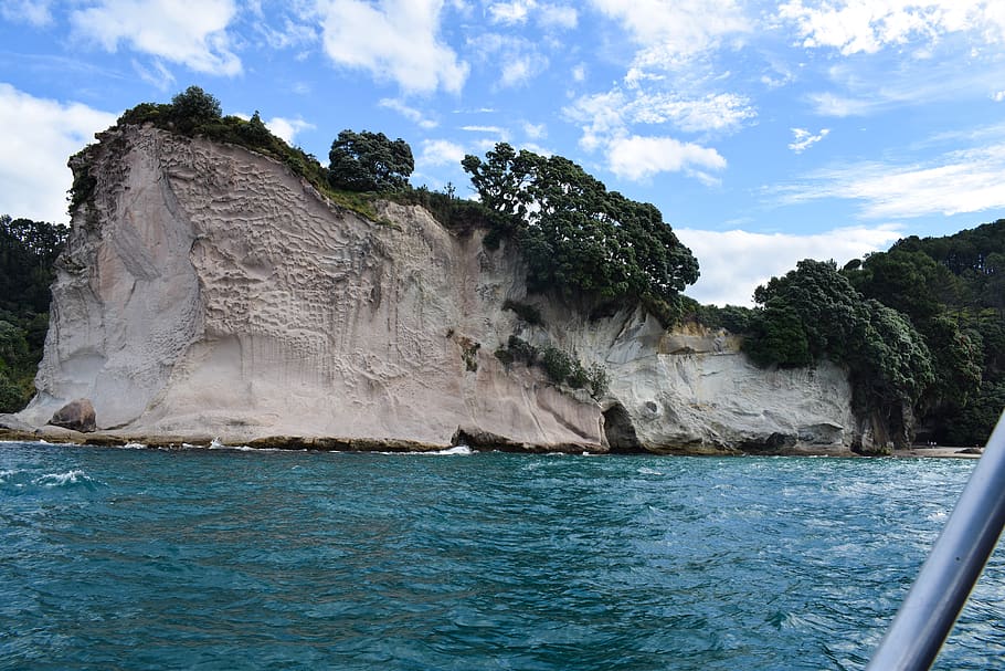 Narnia, Trees, Caves, Summer, Water, Ocean, New Zealand, - Cliff - HD Wallpaper 