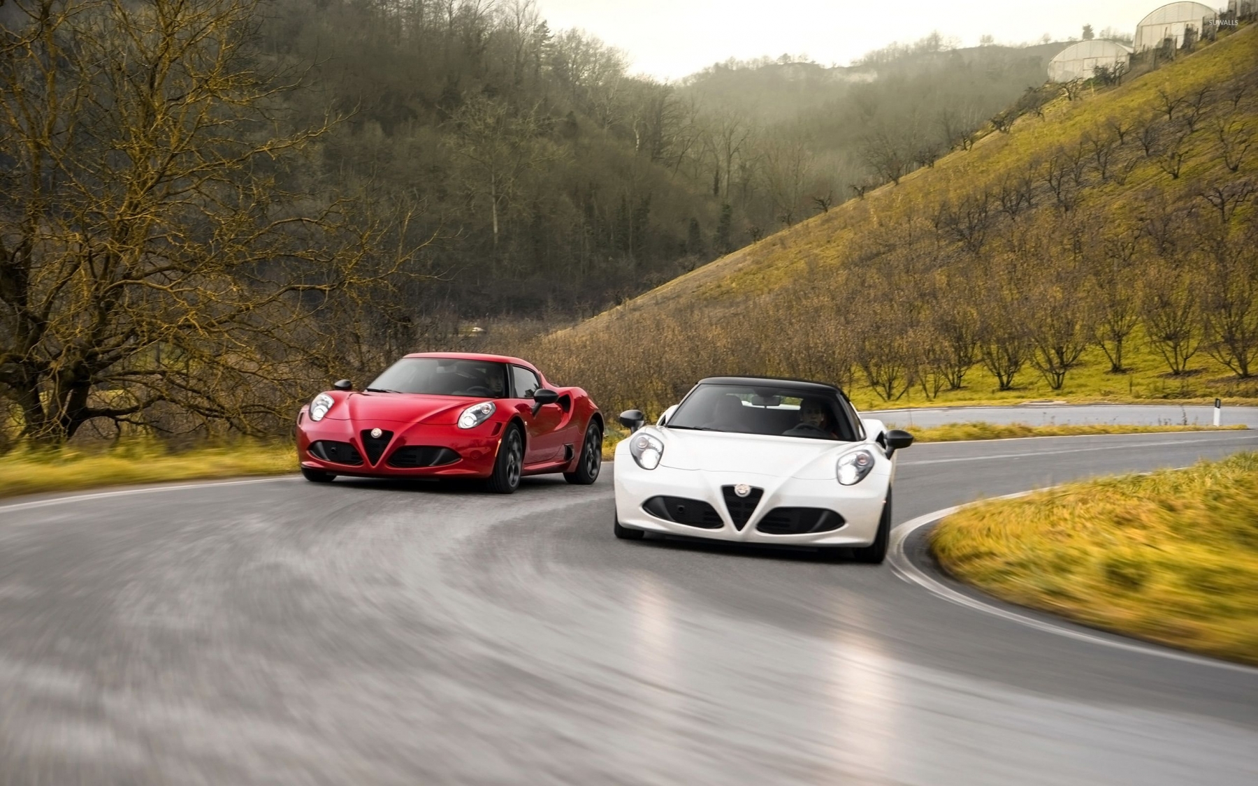 Alfa Romeo 4c - Alfa Romeo - HD Wallpaper 