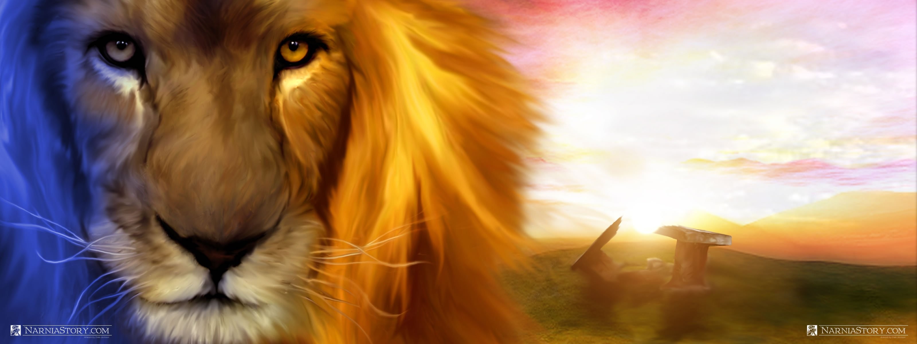 Background Of Lion Family - HD Wallpaper 