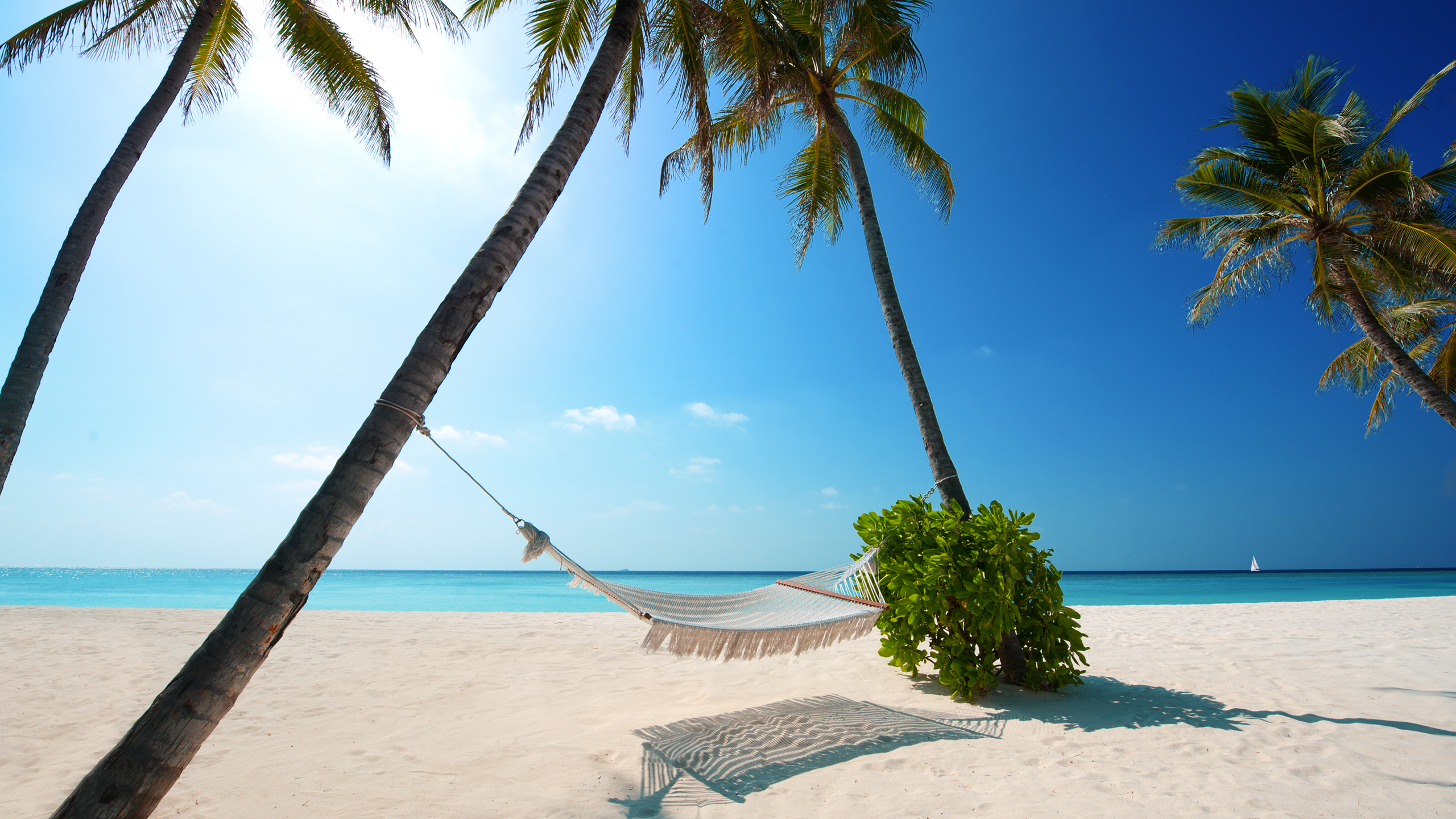 Summer Wallpapers For Pc - HD Wallpaper 