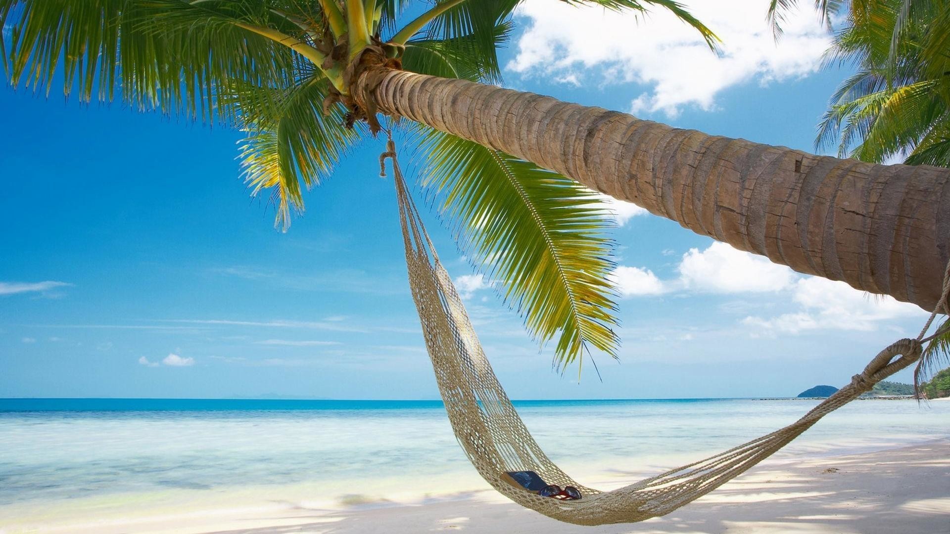 Beaches Wallpaper5 
 Data Src - Palm Trees Beach Hammock - HD Wallpaper 