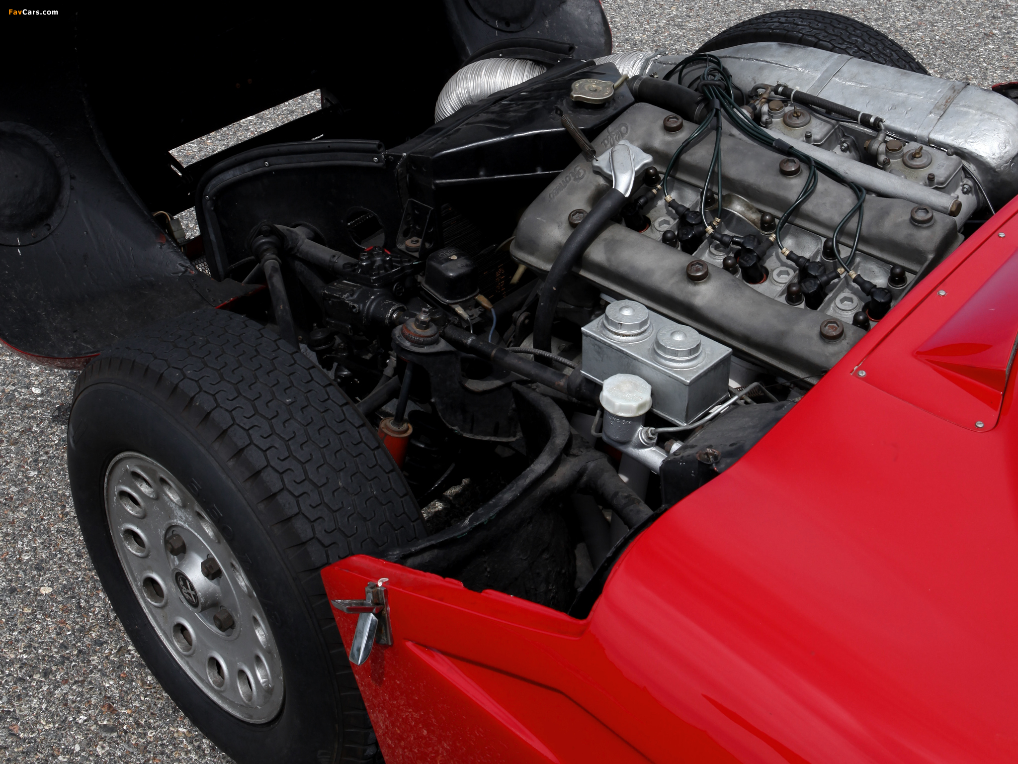 Alfa Romeo Tz 1965 - HD Wallpaper 