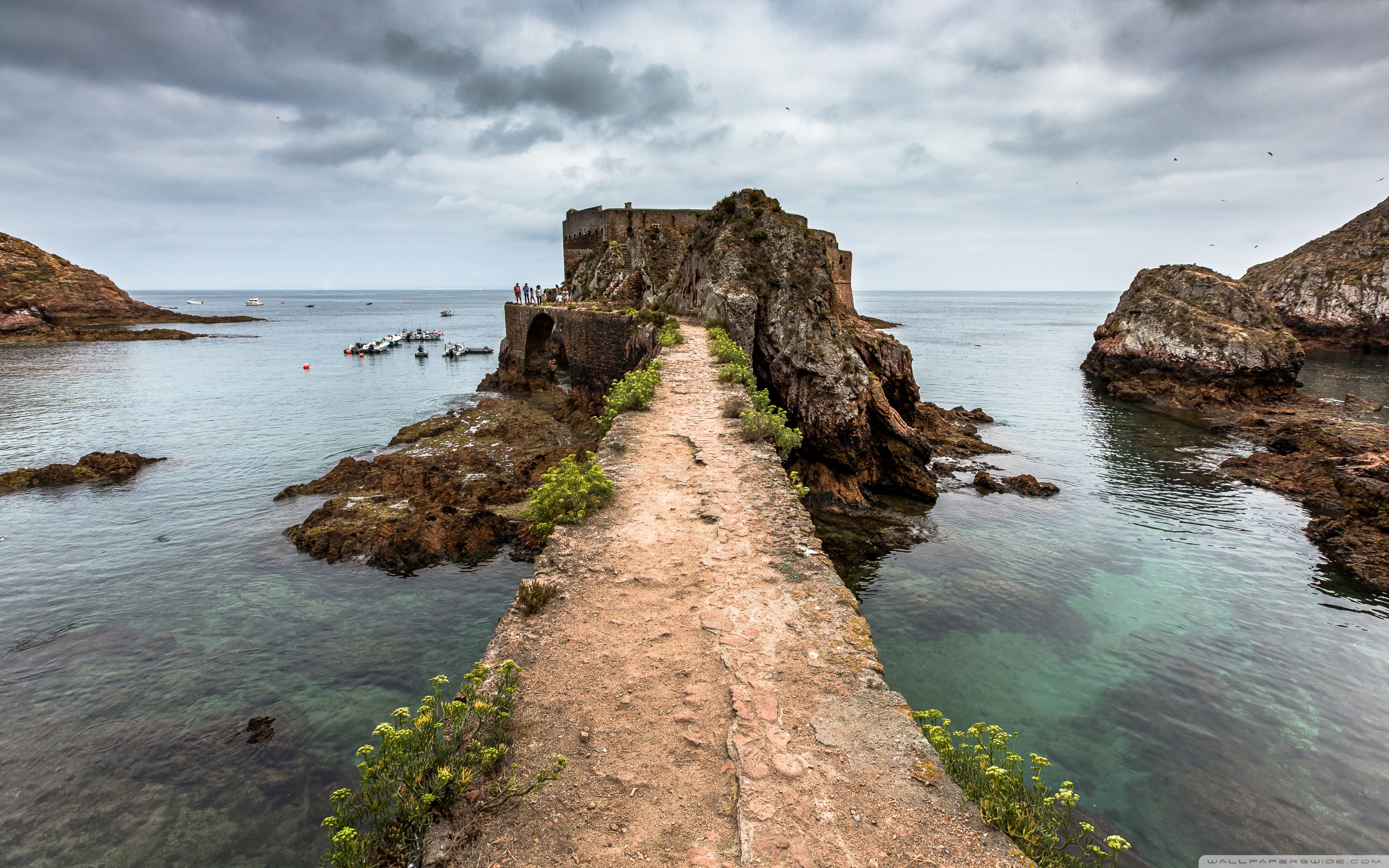 Berlenga Grande Island Portugal - HD Wallpaper 