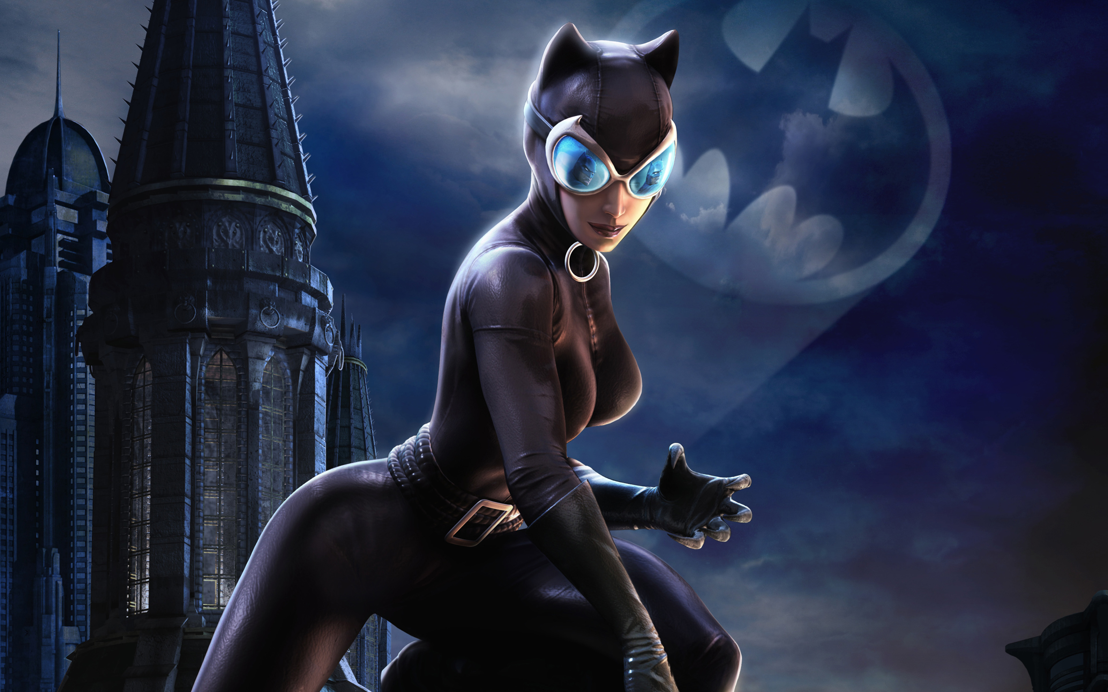 Catwoman Dc Universe For 1600 X 900 Hdtv Resolution - Zoe Kravitz Catwoman Art - HD Wallpaper 